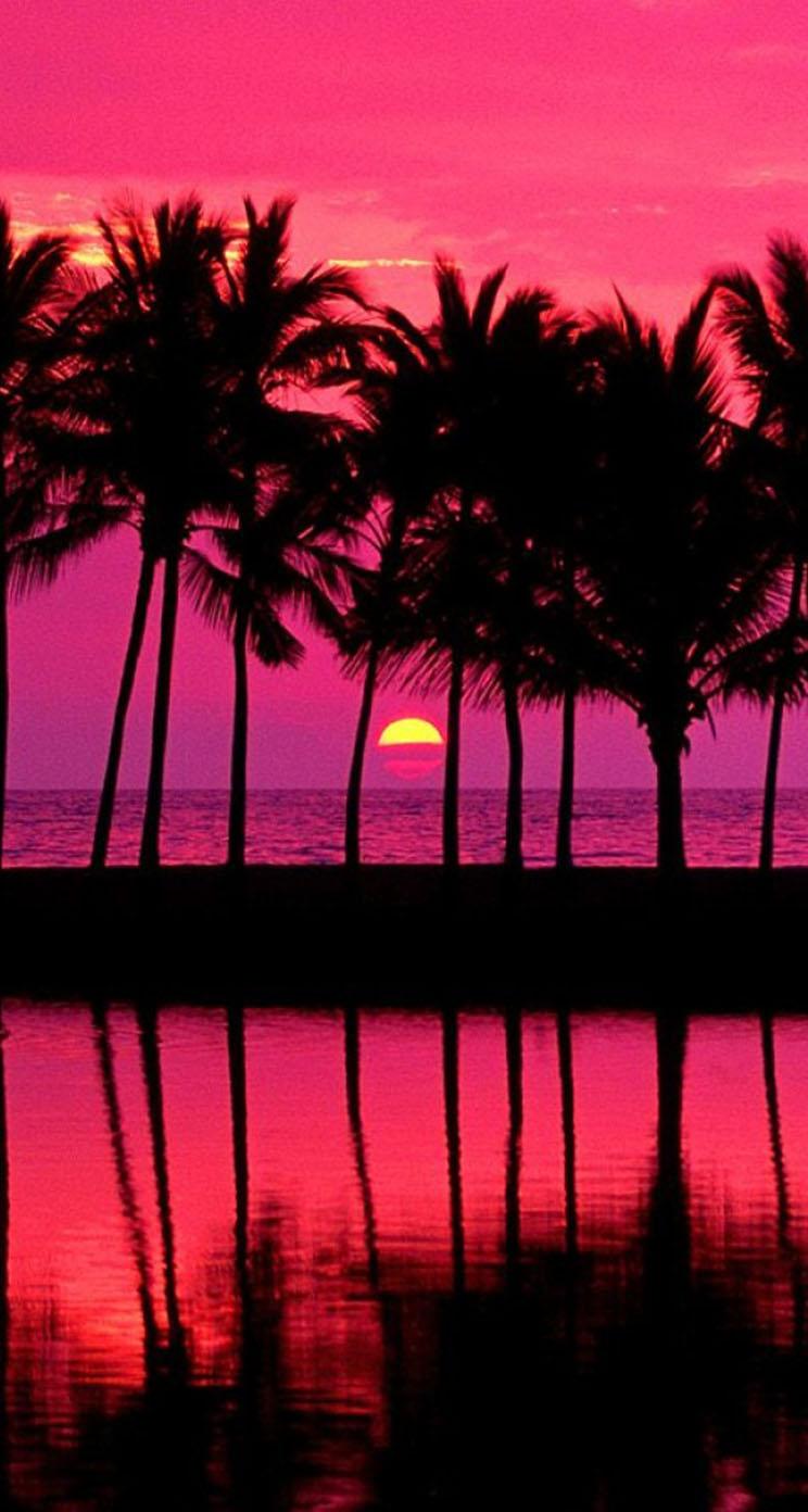 The iPhone Wallpaper Pink Sunset With Palm Trees