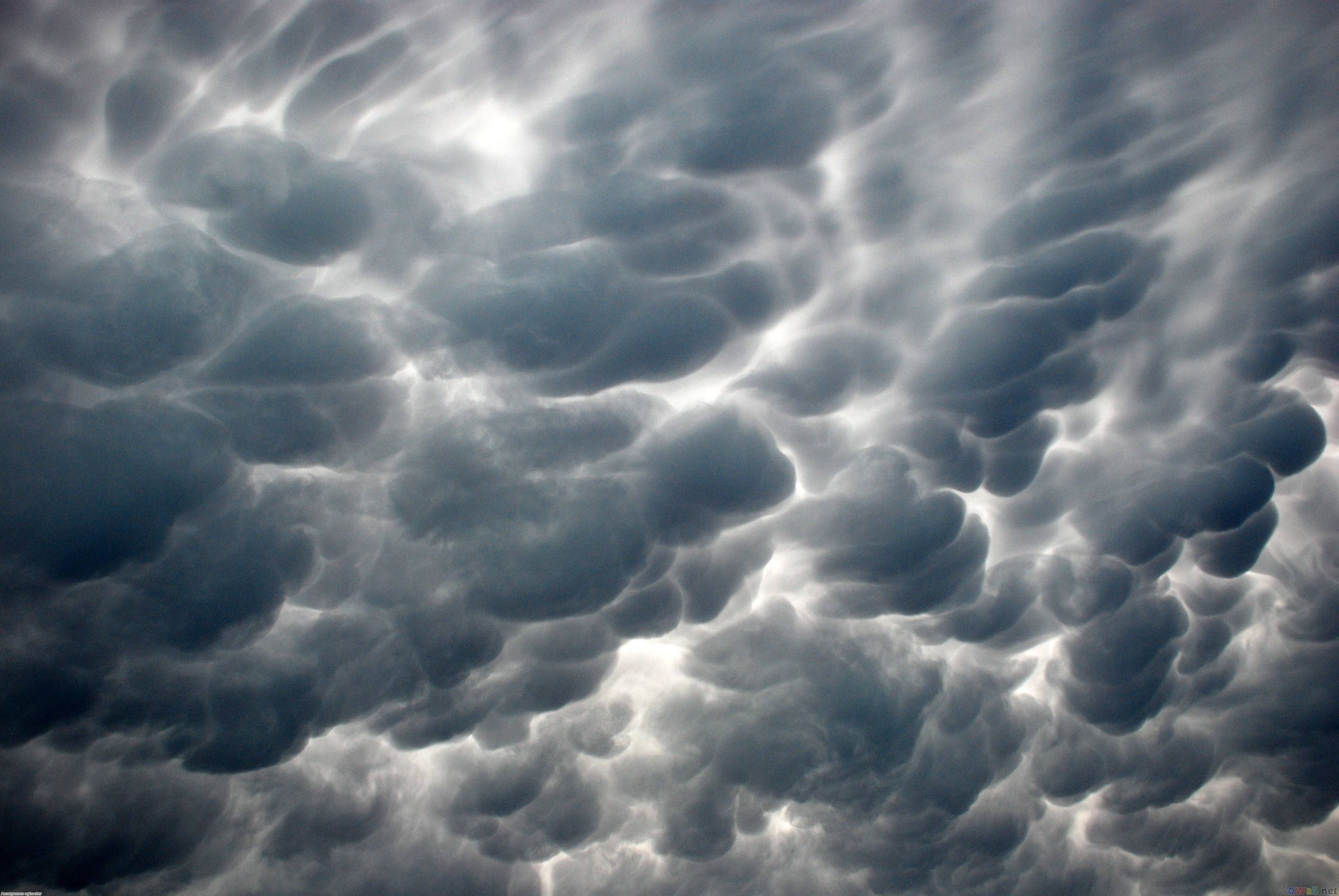 Rain Cloud Wallpaper HD free. Mammatus clouds, Clouds