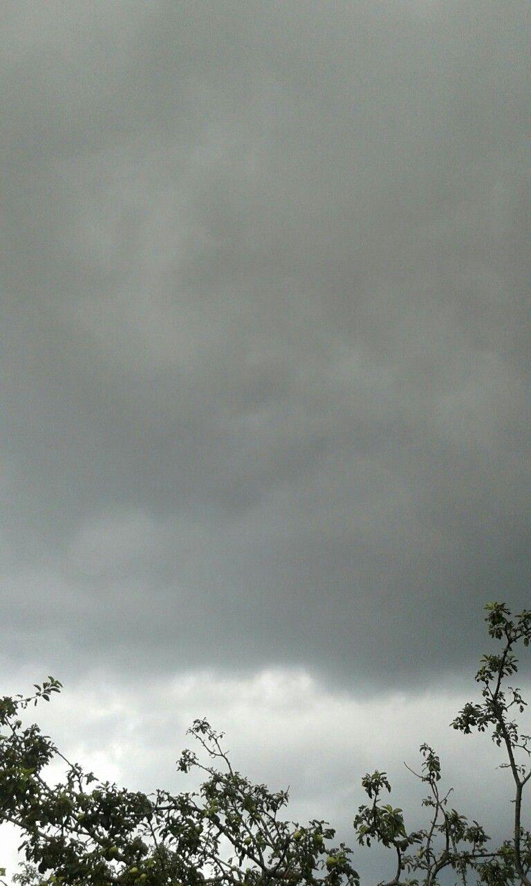 Cloudy sky, clouds, rain, rainy, storm, trees, leaves, grey, grey clouds. Rainy sky, Sky aesthetic, Clouds