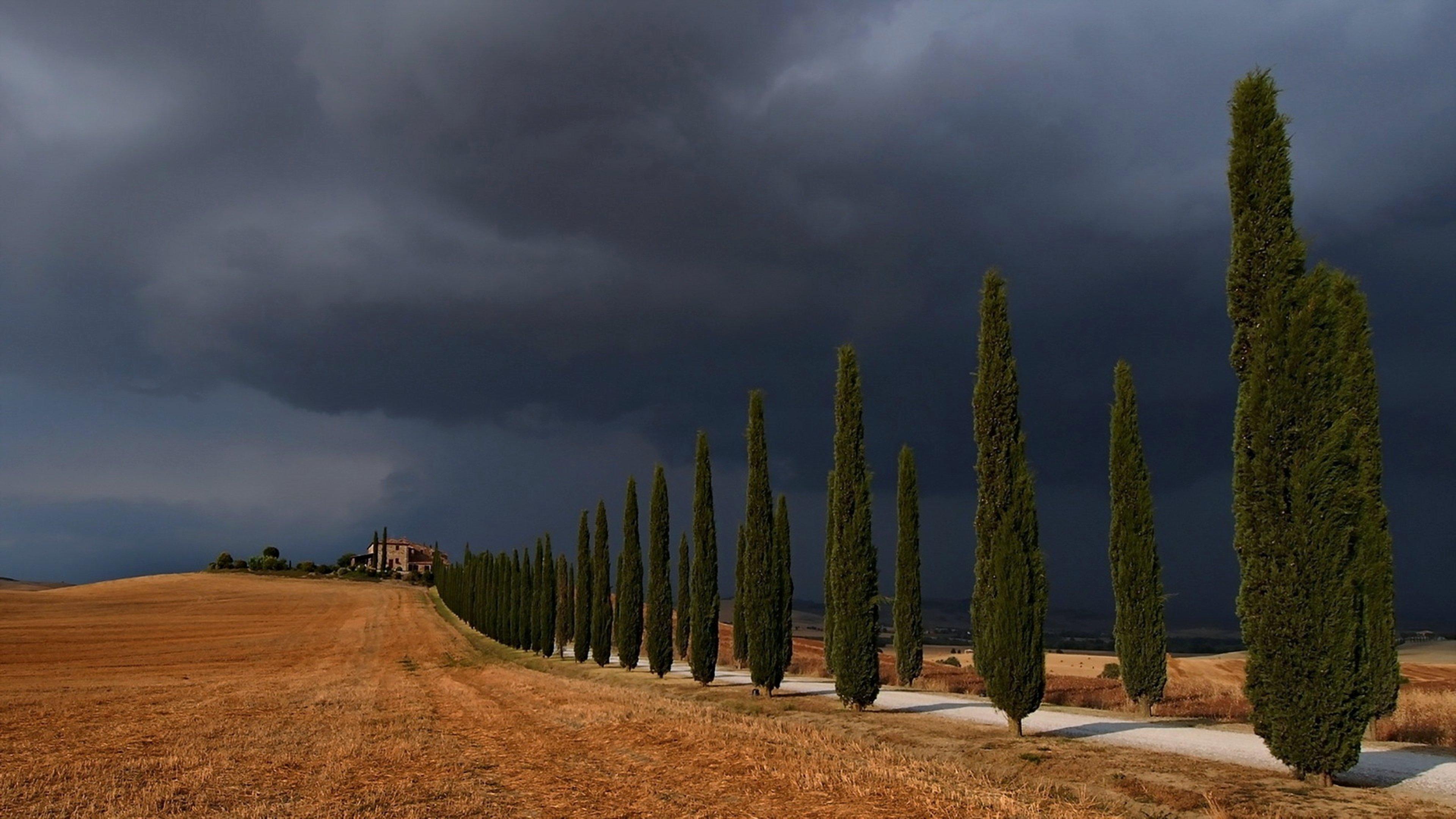 storm, Val, Dand039orcia, Trees, Road, Sky, Landscape