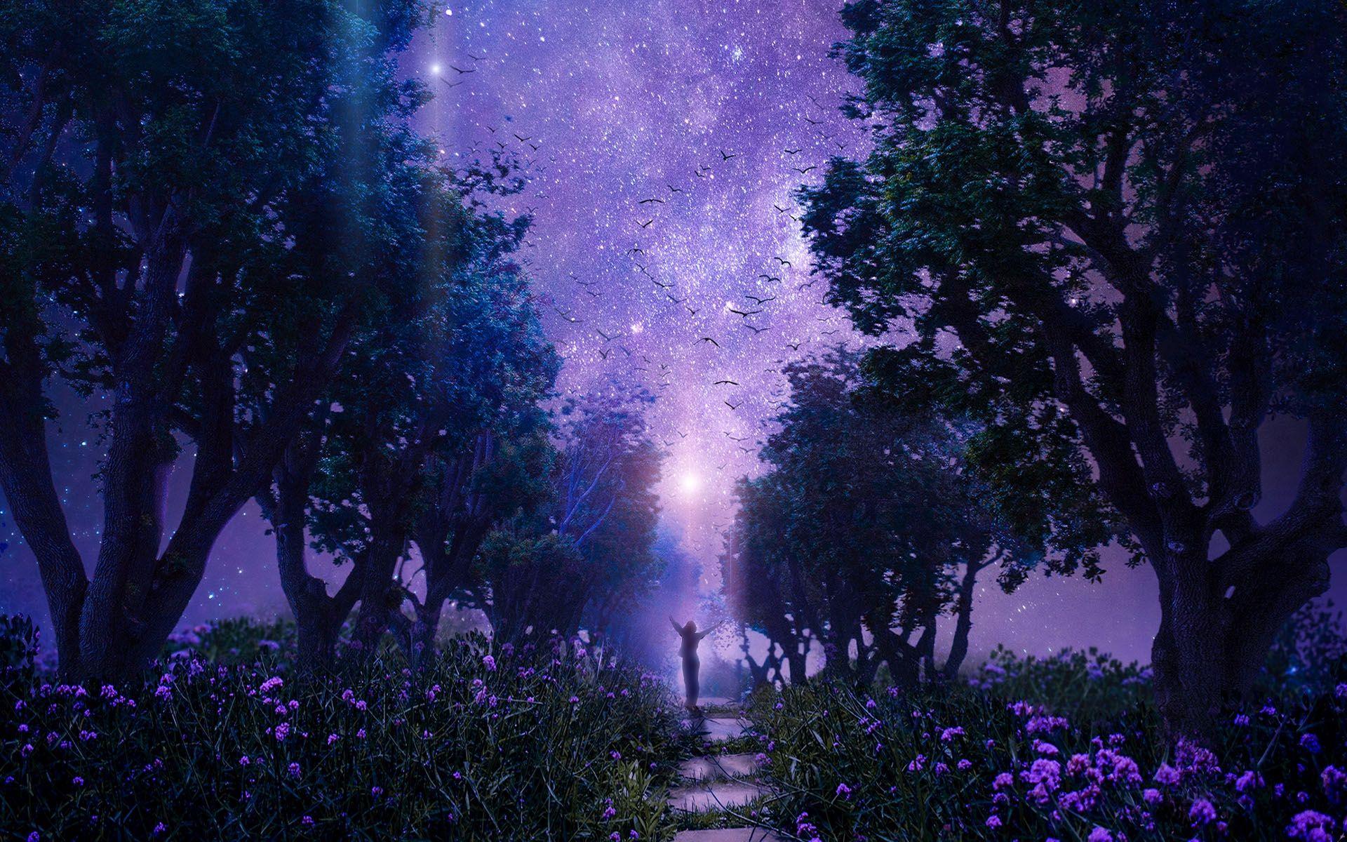 Purple forest wallpaper. Night sky wallpaper, Forest picture, Anime scenery wallpaper