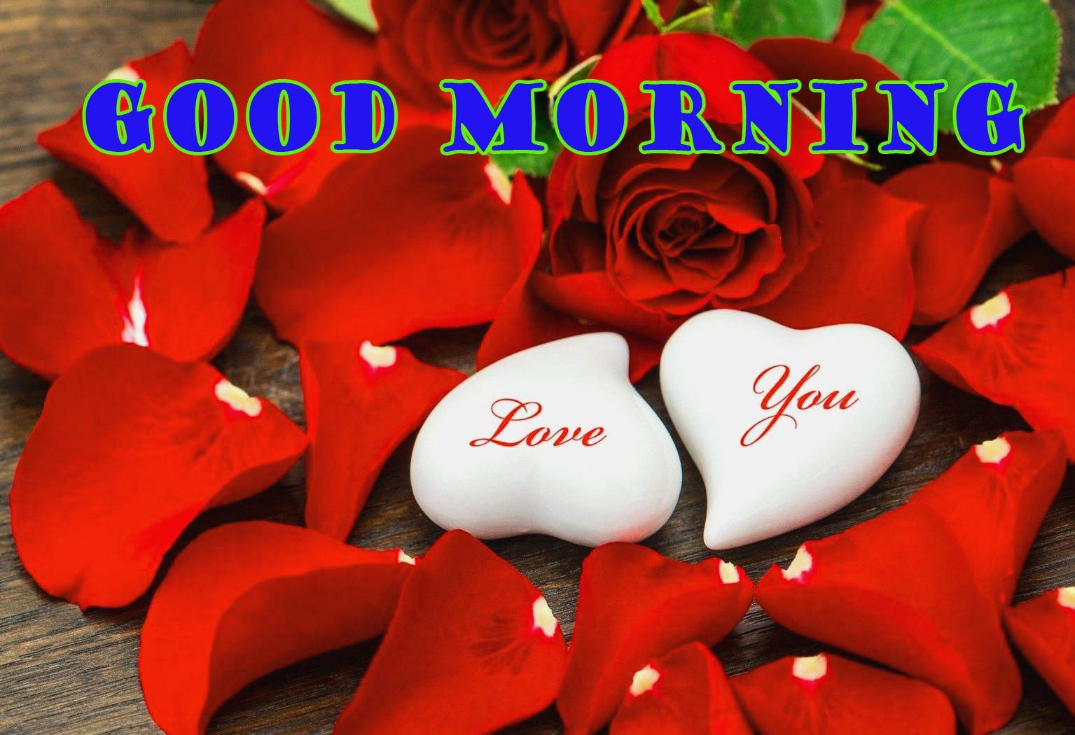 Good Morning Red Rose Image Wallpaper Picture Free