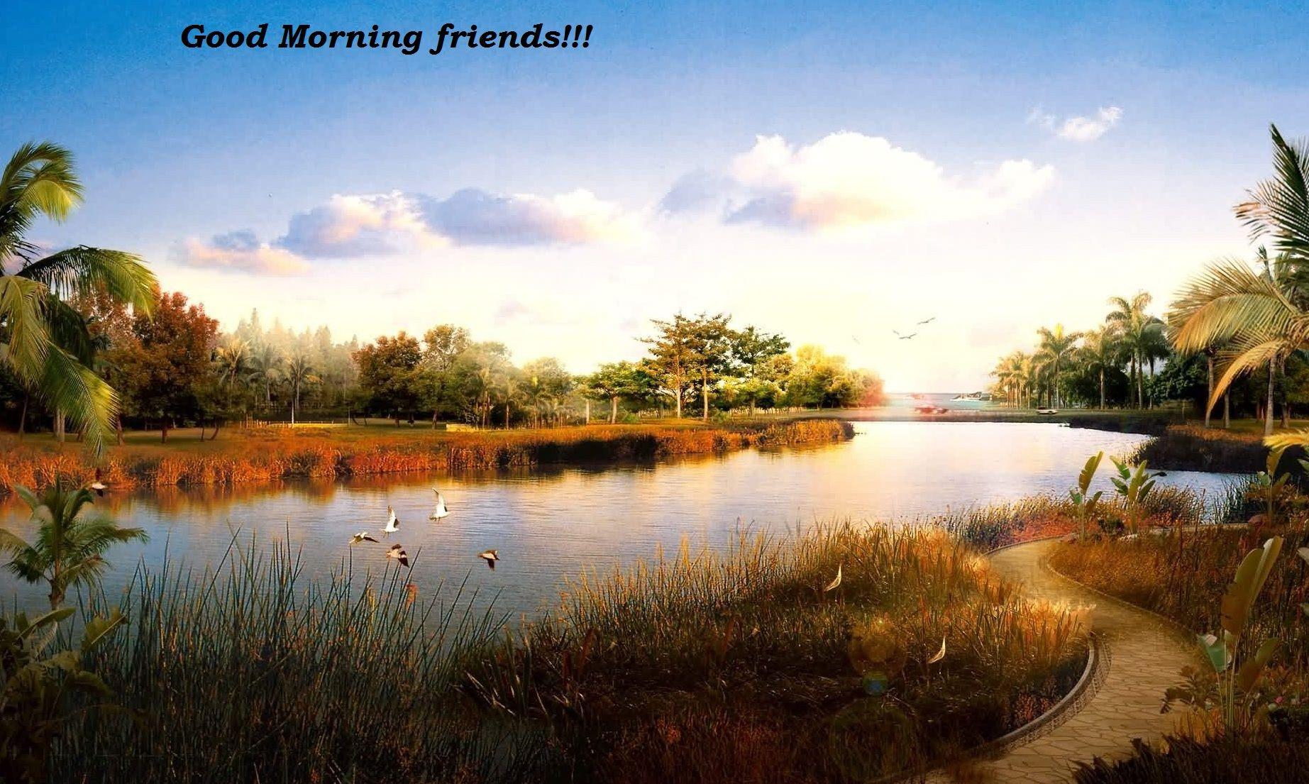 Good morning image download for free. Wildlife wallpaper