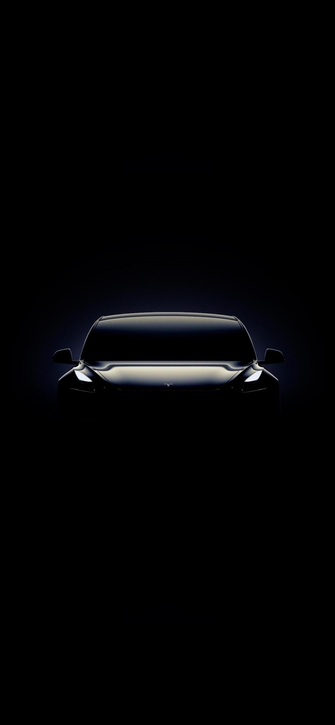 Download 1125x2436 wallpaper tesla model portrait, iphone