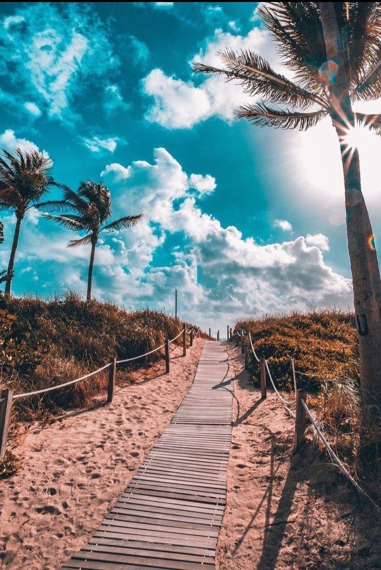 Miami Beach Phone Wallpapers Wallpaper Cave