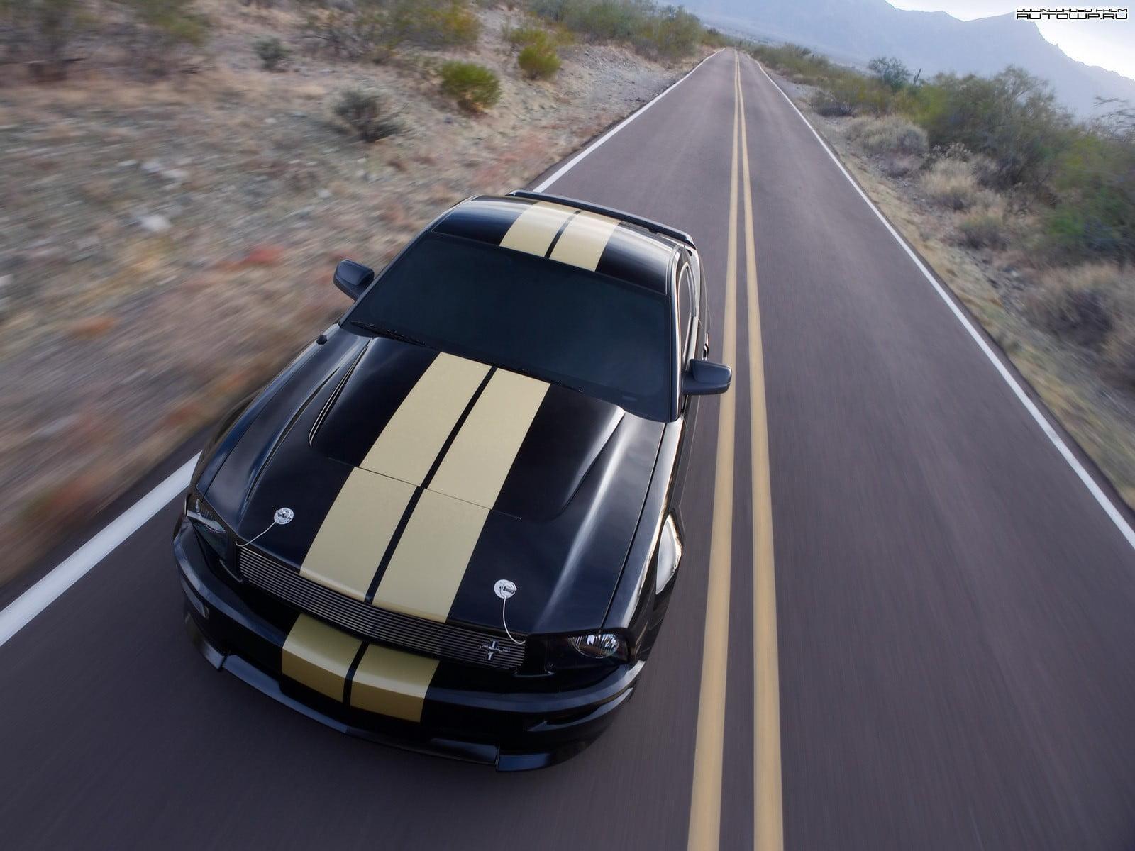 Black and gold Ford Mustang GT coupe, Ford Mustang, muscle