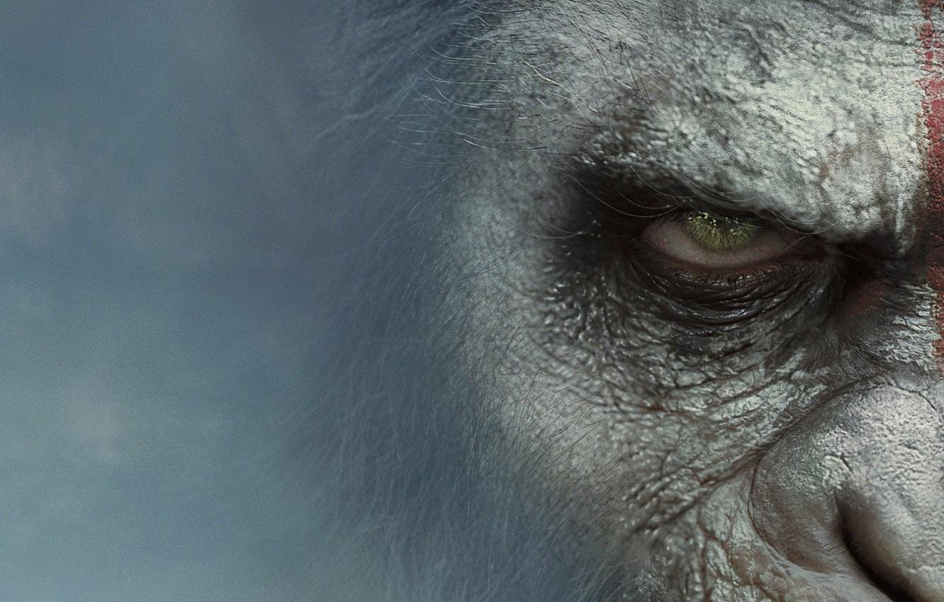 Wallpaper Movie, Dawn Of The Planet Of The Apes, Dawn Of