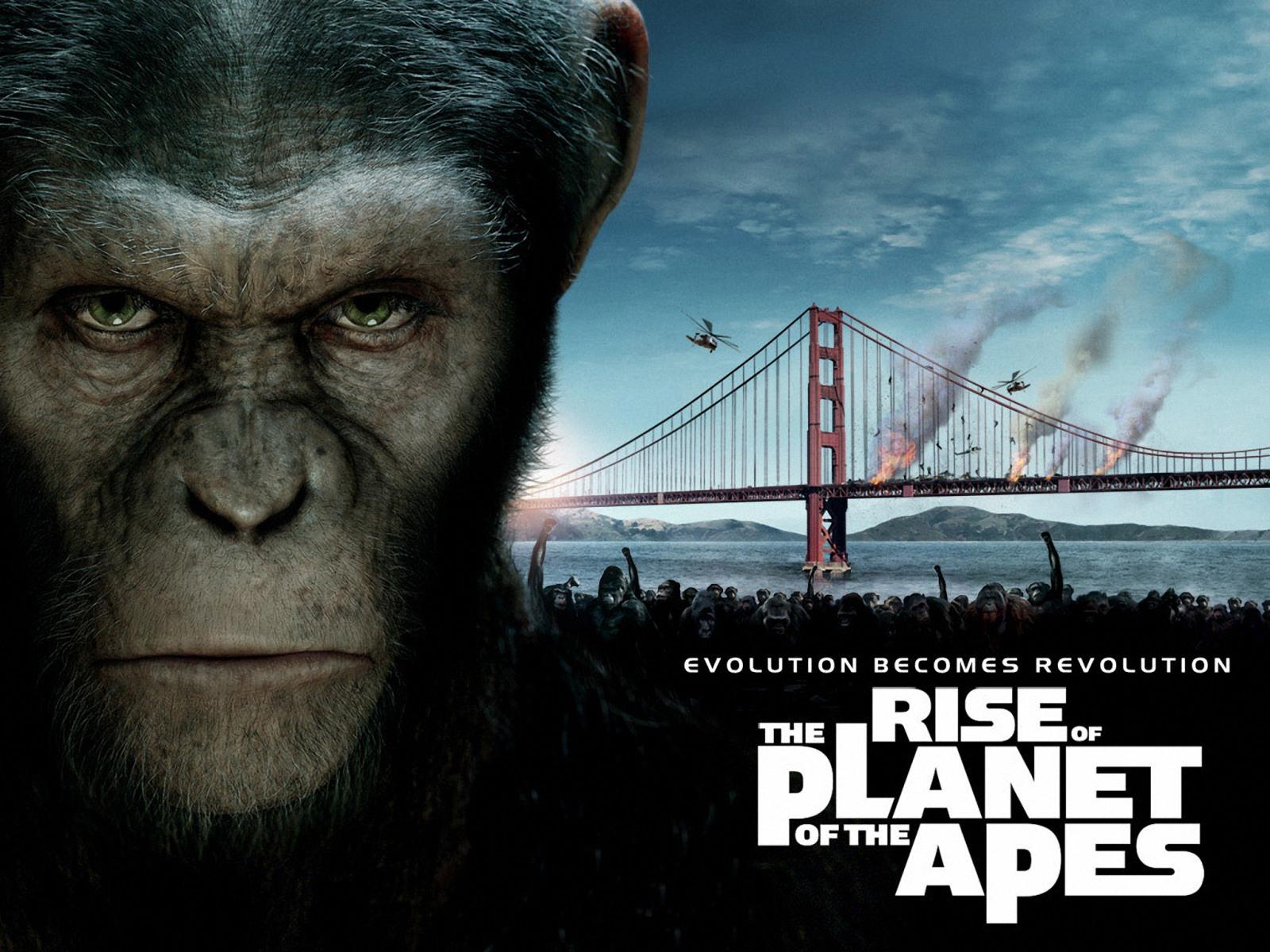 Rise Of The Of The Apes Wallpapers Wallpaper Cave