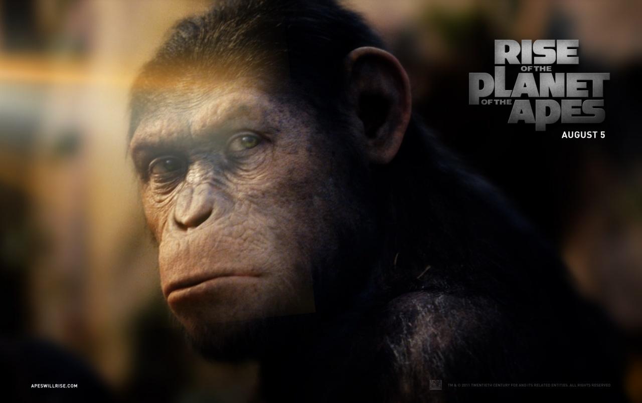Rise of the Planet of the Apes: Caesar wallpaper