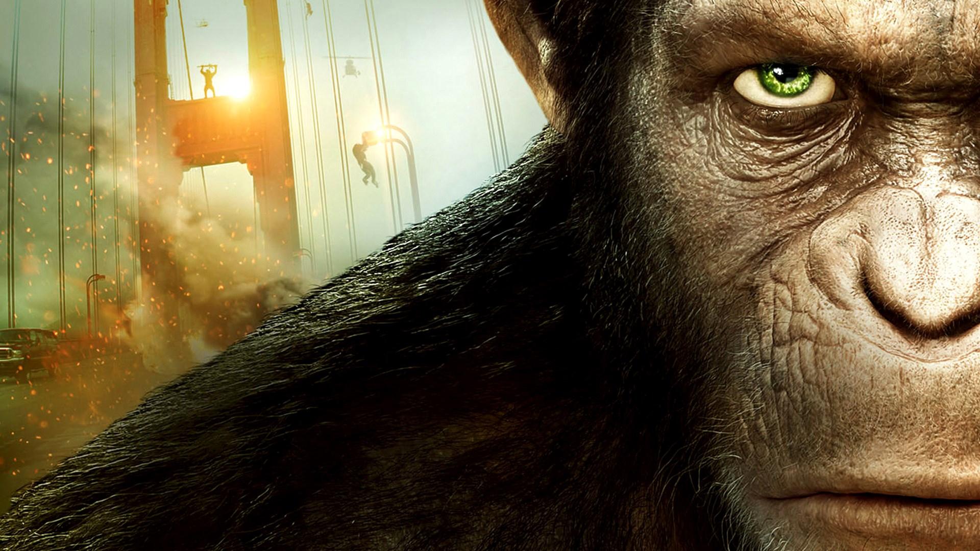 1920x1080 widescreen hd dawn of the planet of the apes JPG.