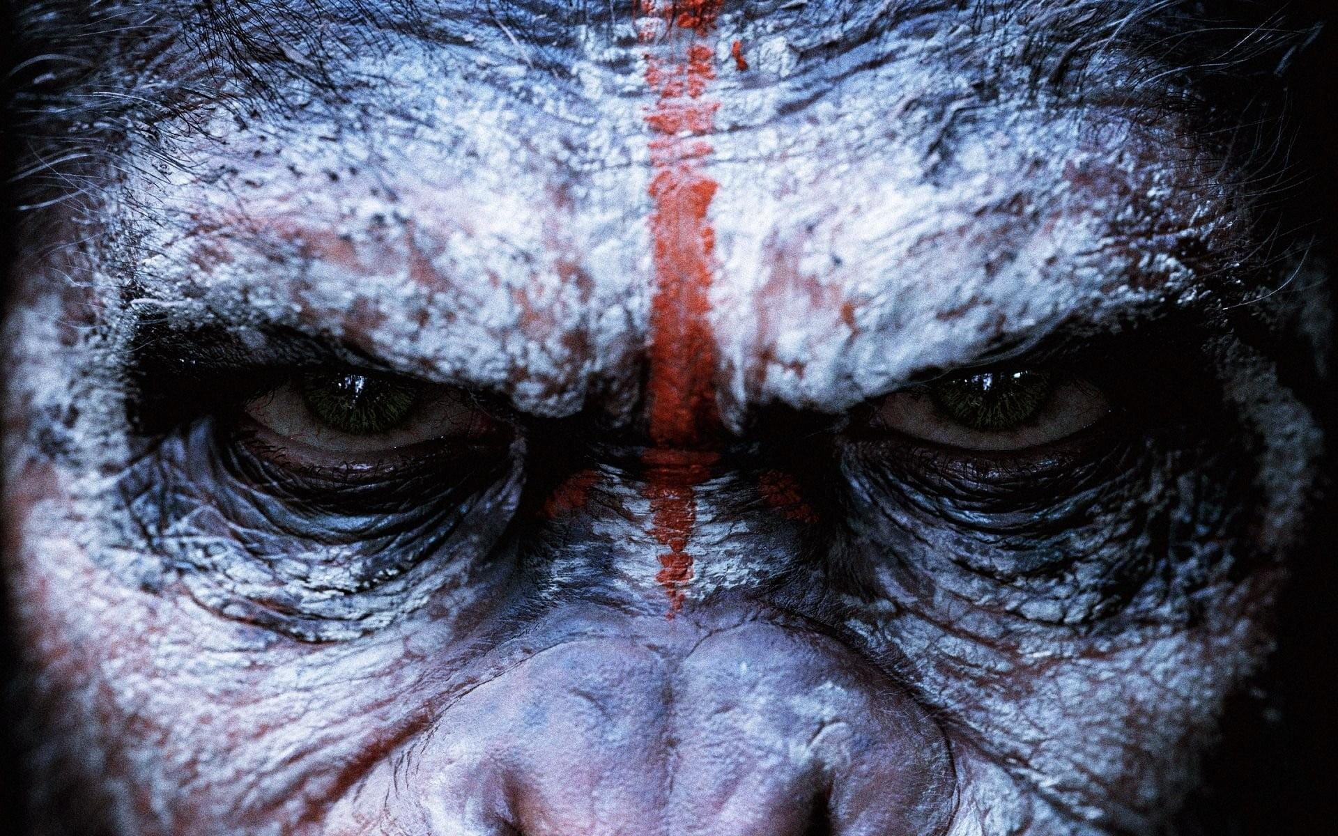 Monkey face, Dawn of the Planet of the Apes, Planet