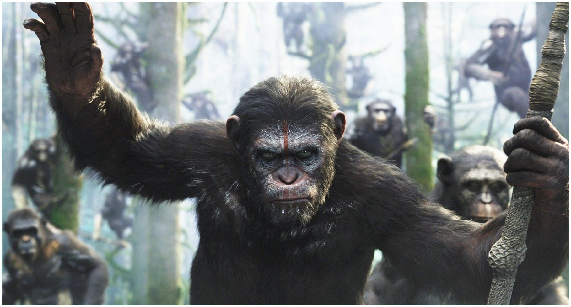 Dawn of the Planet of the Apes: A Parable about War