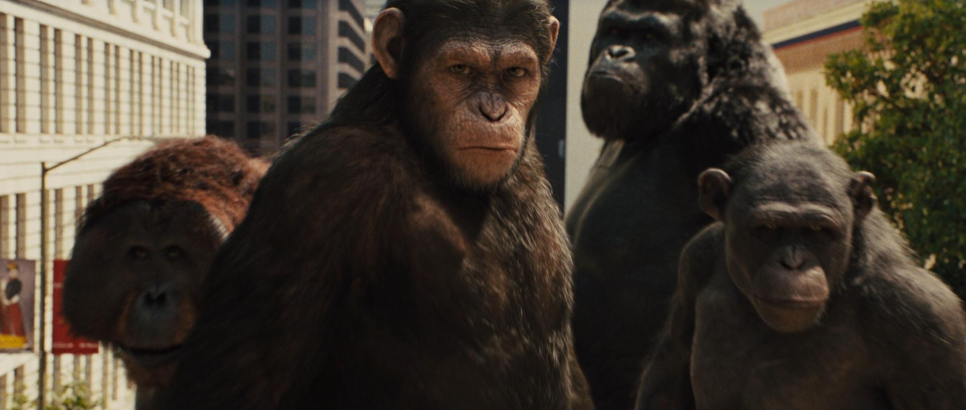 Rise Of The Planet Of The Apes HD Wallpaper