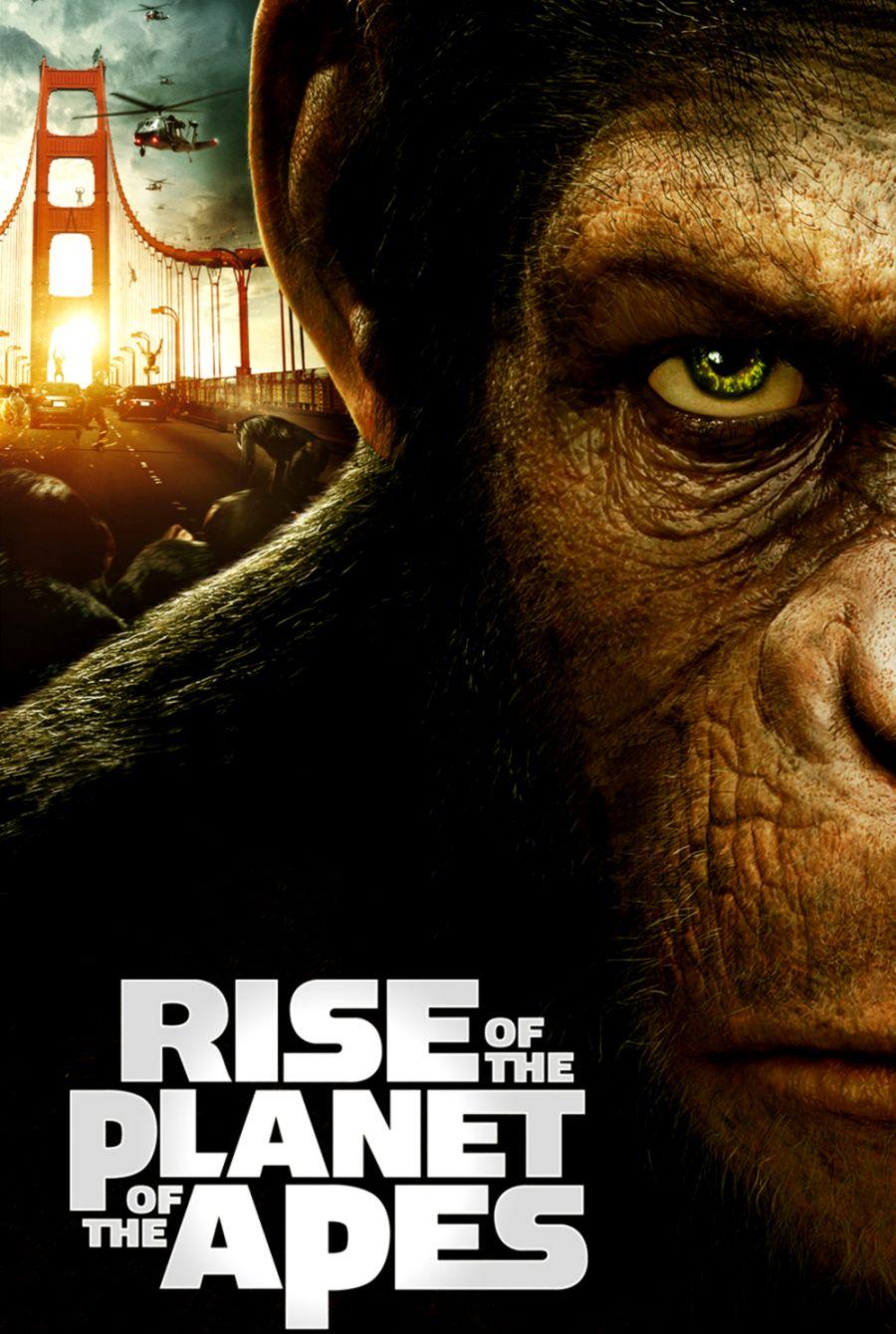 Rise Of The Planet Of The Apes Free Download Wallpaper