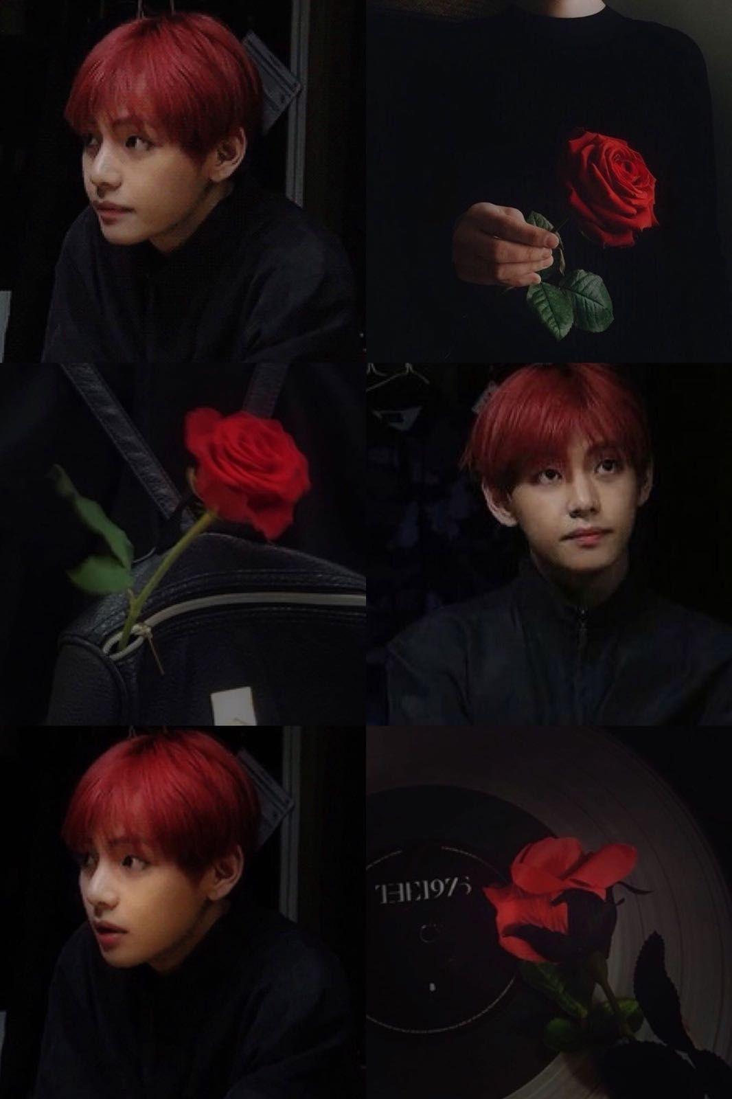 BTS V Taehyung aesthetic theme black + red roses. Bts
