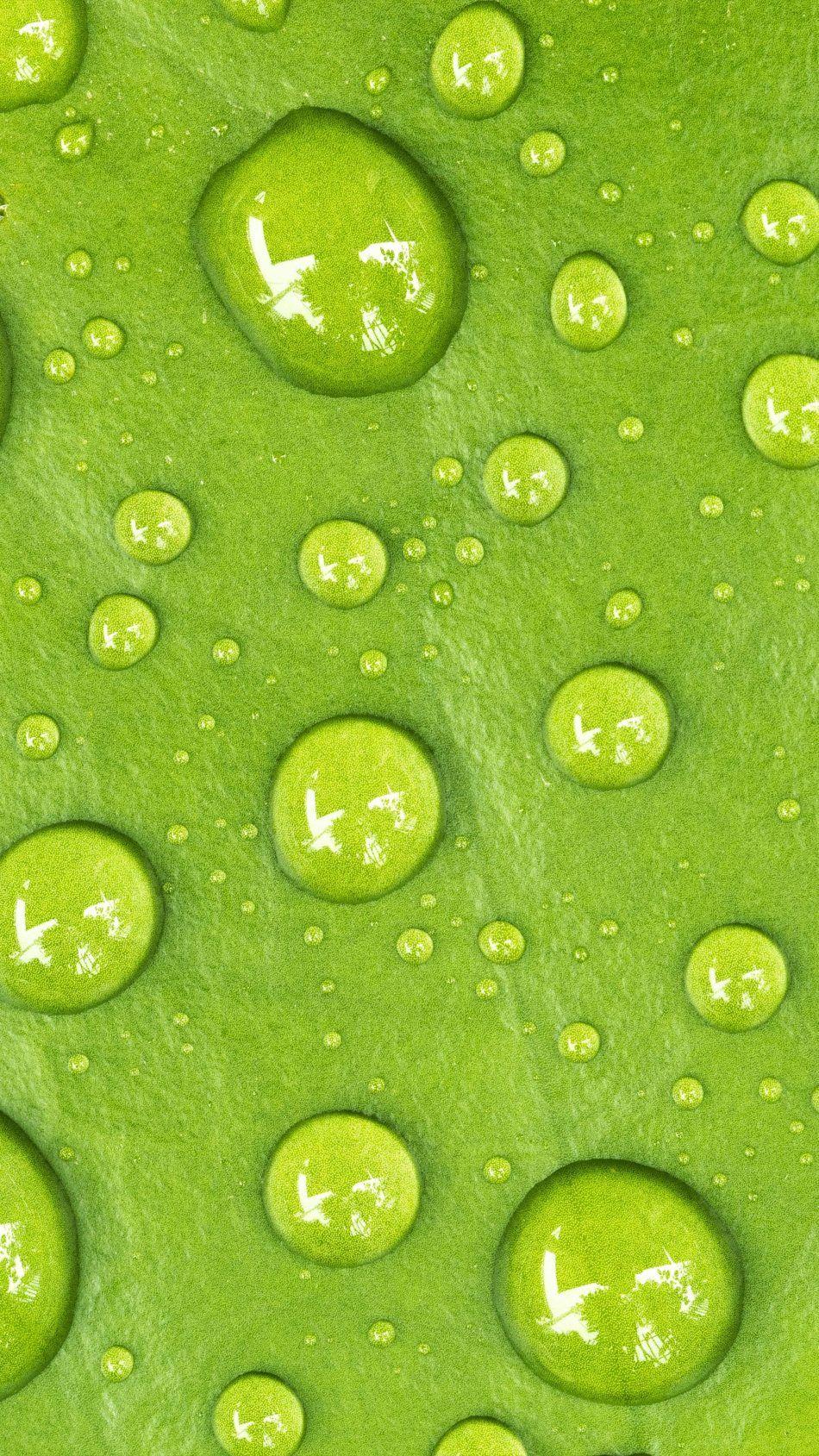 Water Drop Green Macro 4K Ultra HD Mobile Wallpaper. Green leaf wallpaper, Leaf wallpaper, Wallpaper