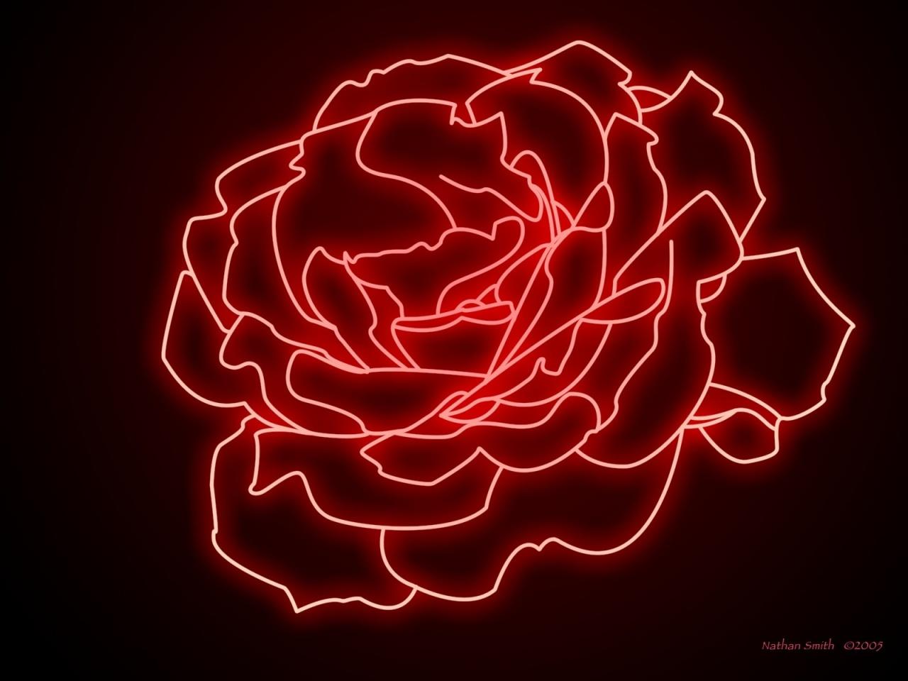 Neon Rose desktop PC and Mac wallpaper