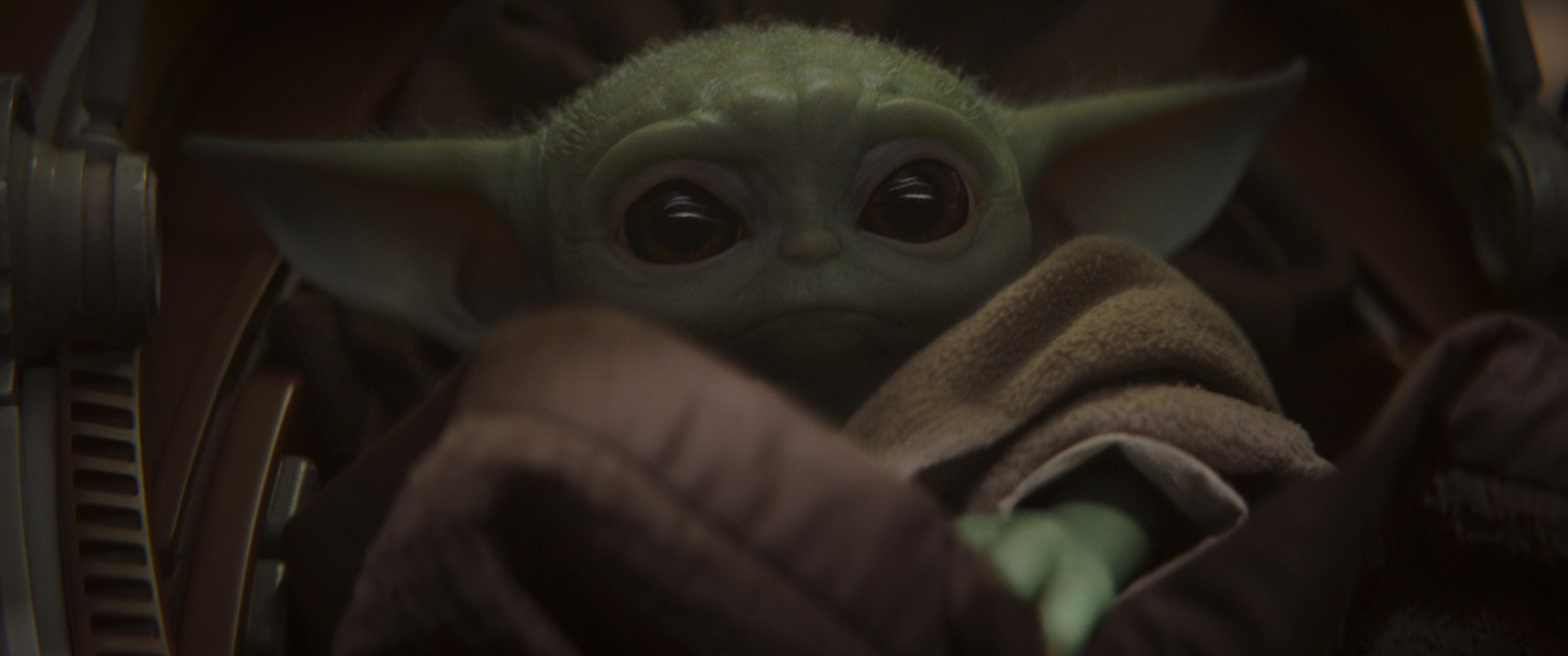 The Mandalorian's Baby Yoda Has Won the Internet's Heart