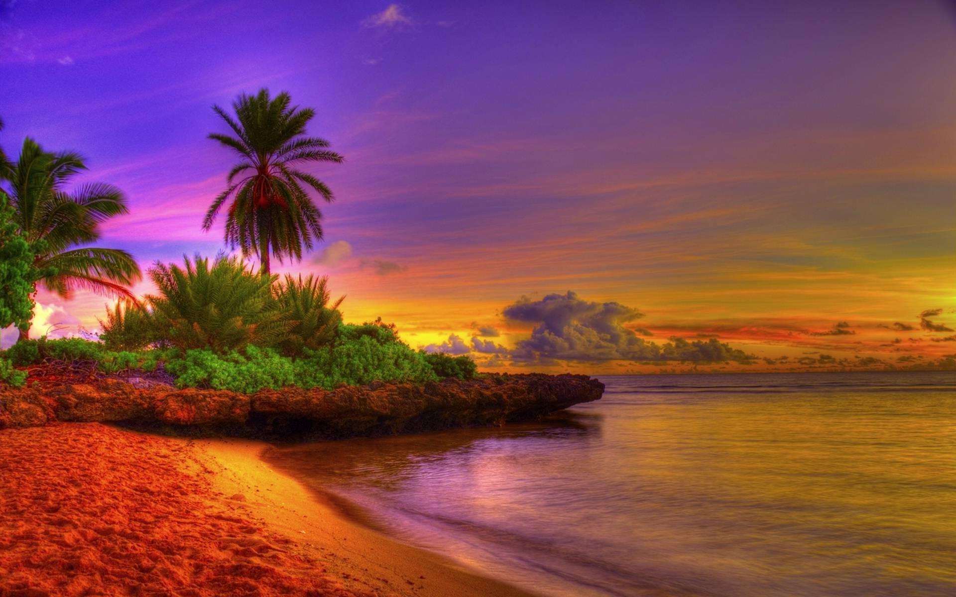 Colorful Sunrise Tropical Beach Image Beach Sunset