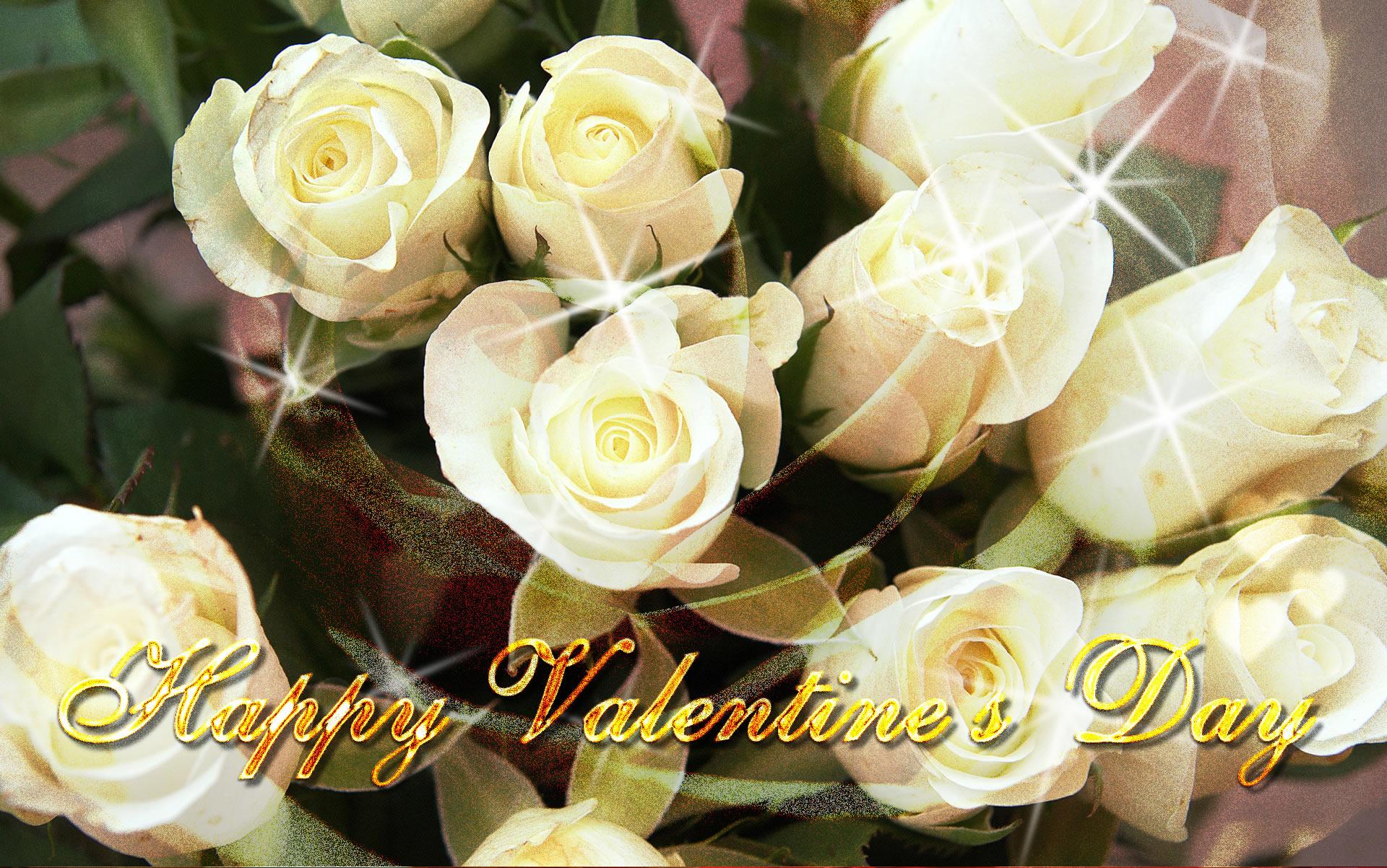 White Rose Valentines Day Wallpaper & Background