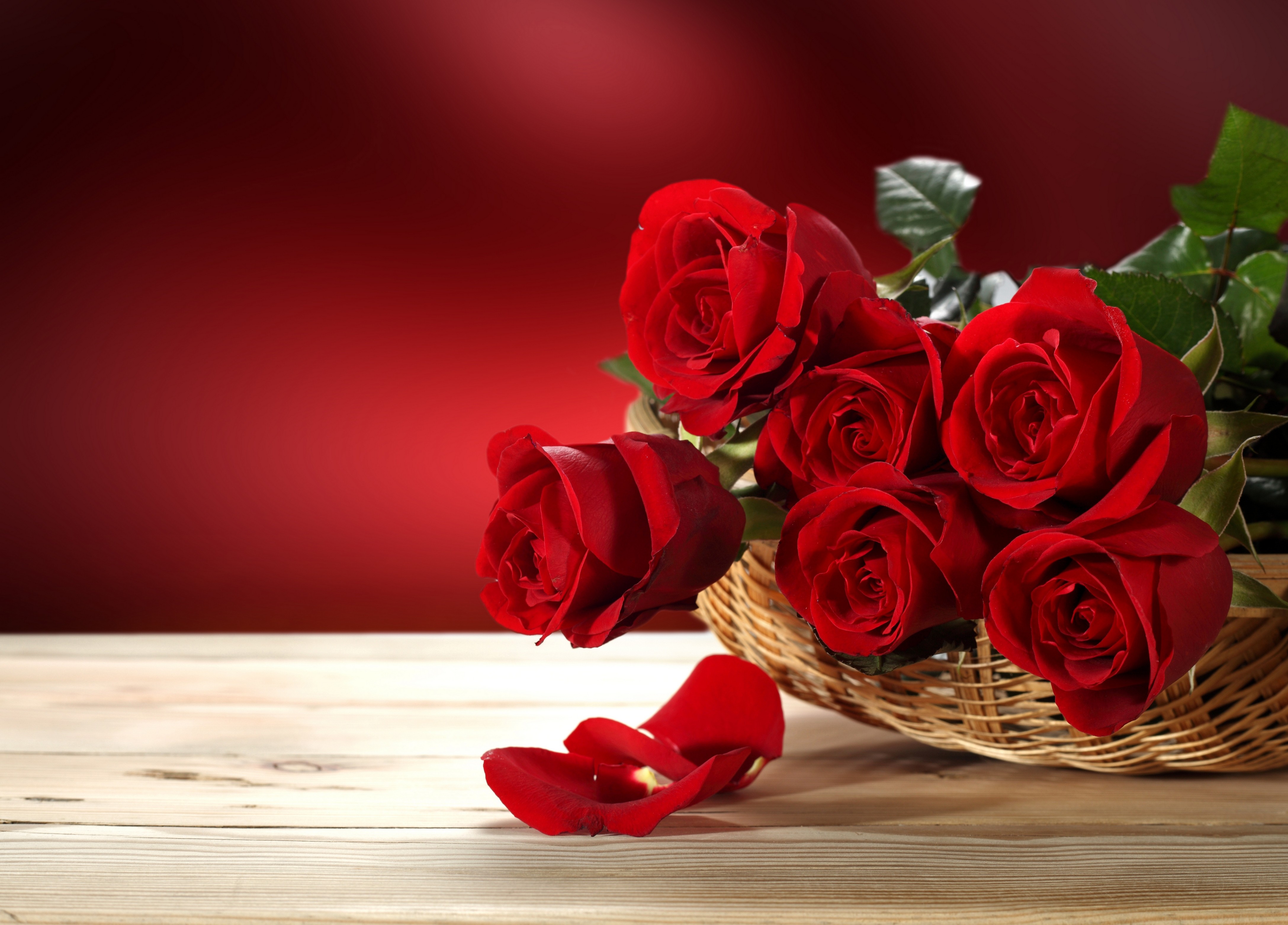 Valentine's Day Flowers Wallpapers Wallpaper Cave