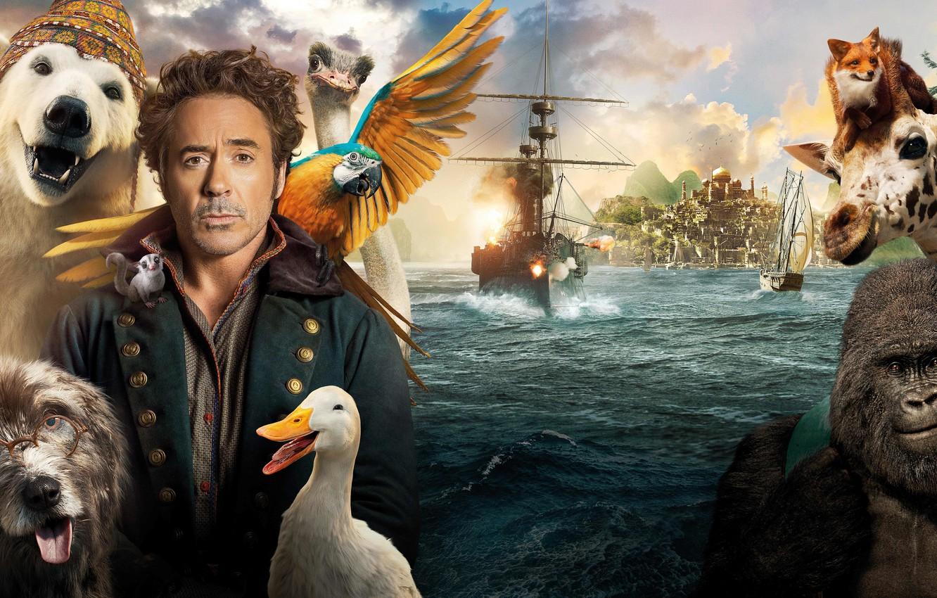 Wallpaper animals, water, ship, Robert Downey ml, Comedy