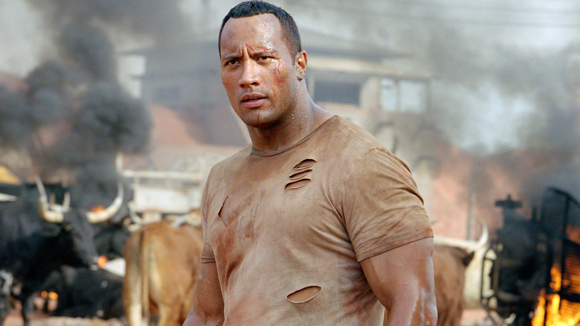 Dwayne The Rock Johnson, HD Wallpaper & background