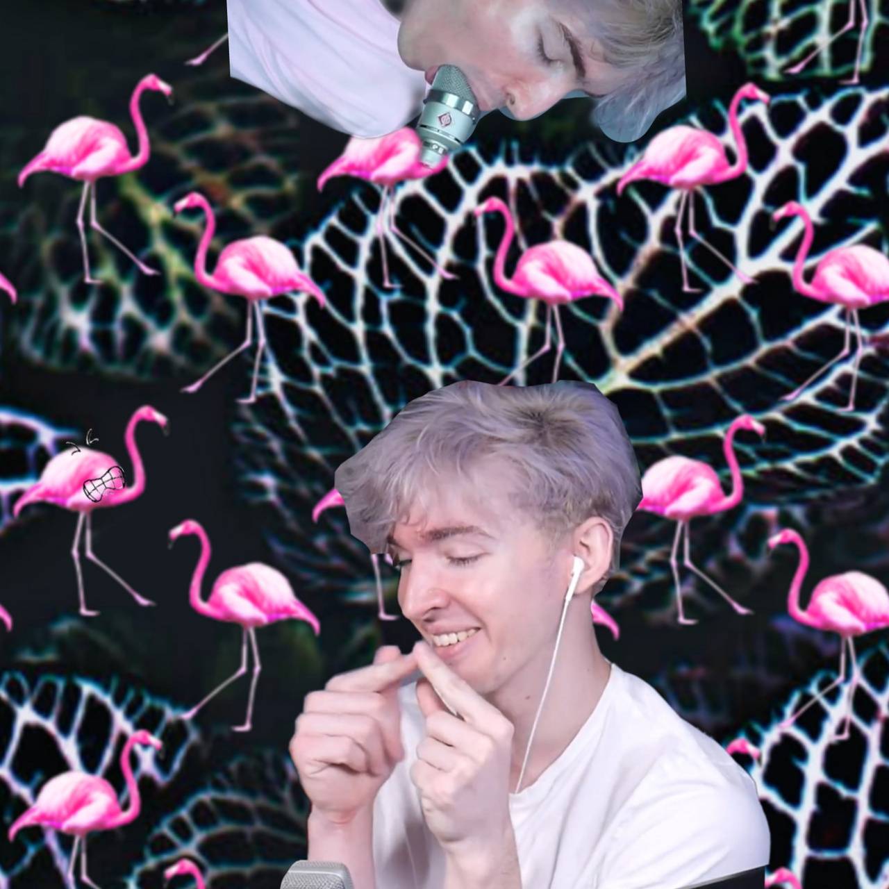Roblox Avatar Flamingo Albert Wallpaper