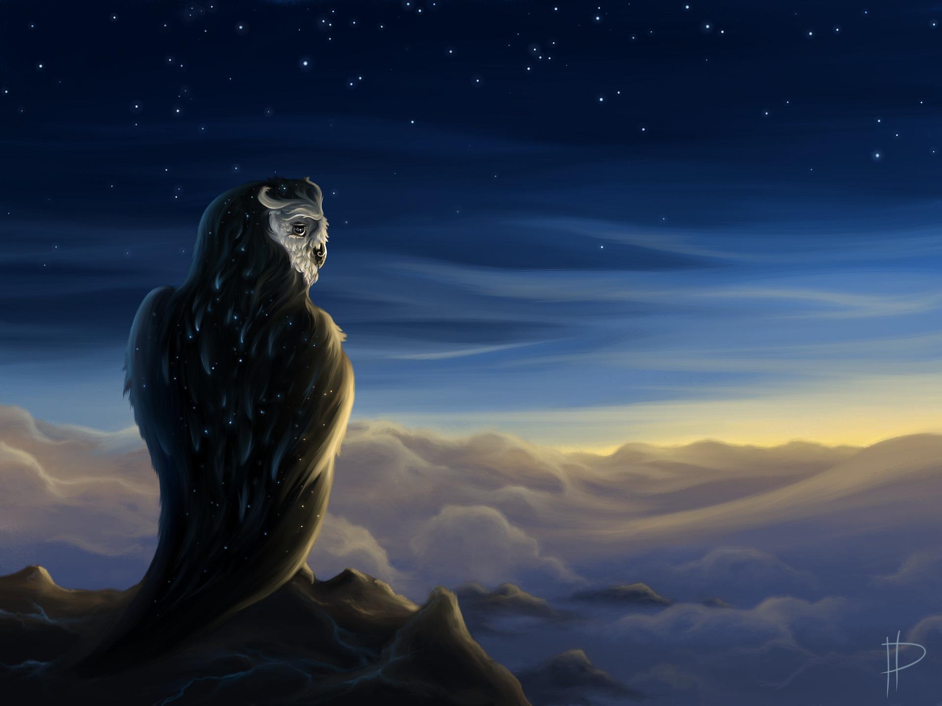 Desktop Wallpaper owl bird Fantasy Sky Magical animals