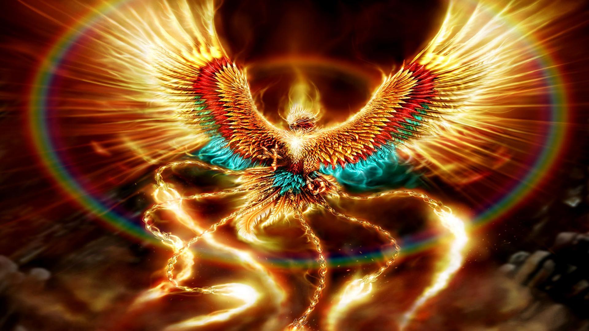 Phoenix Bird Wallpaper