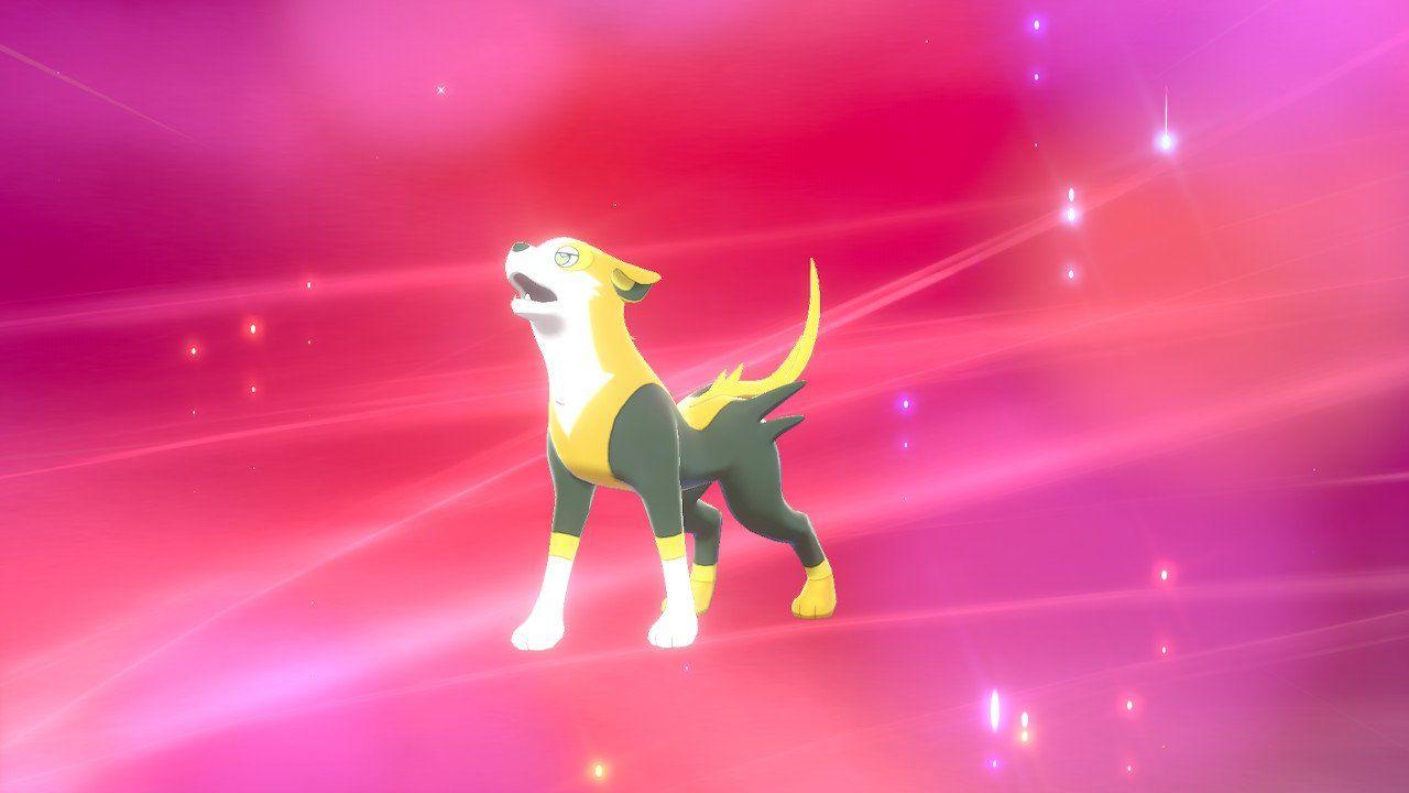 Pokemon Sword and Shield To Evolve Yamper Into Boltund