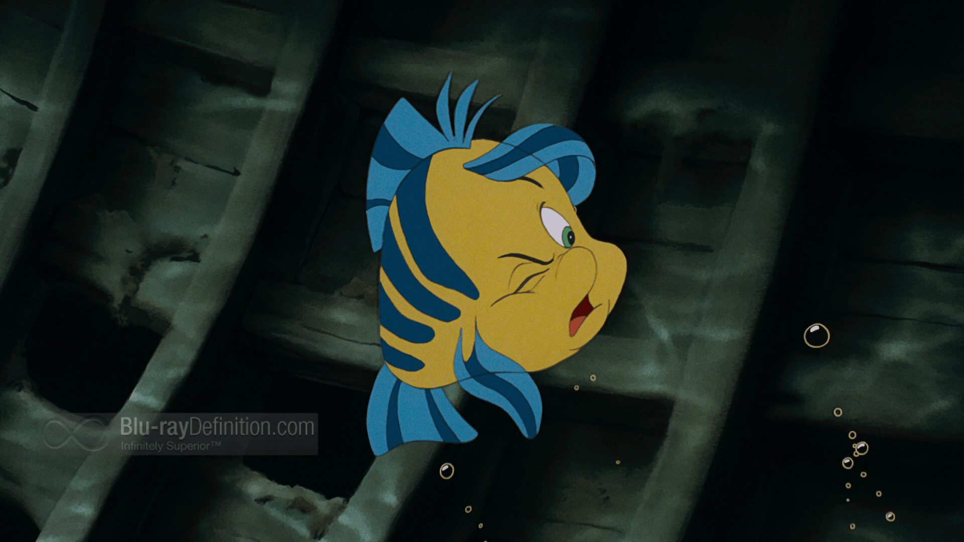 Flounder Wallpapers - Wallpaper Cave