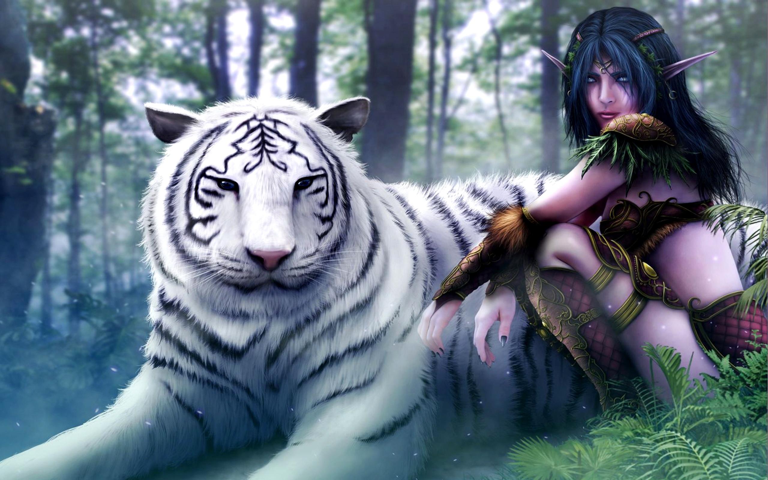 Wallpaper Wizard girl with the white tiger 2560x1600 HD