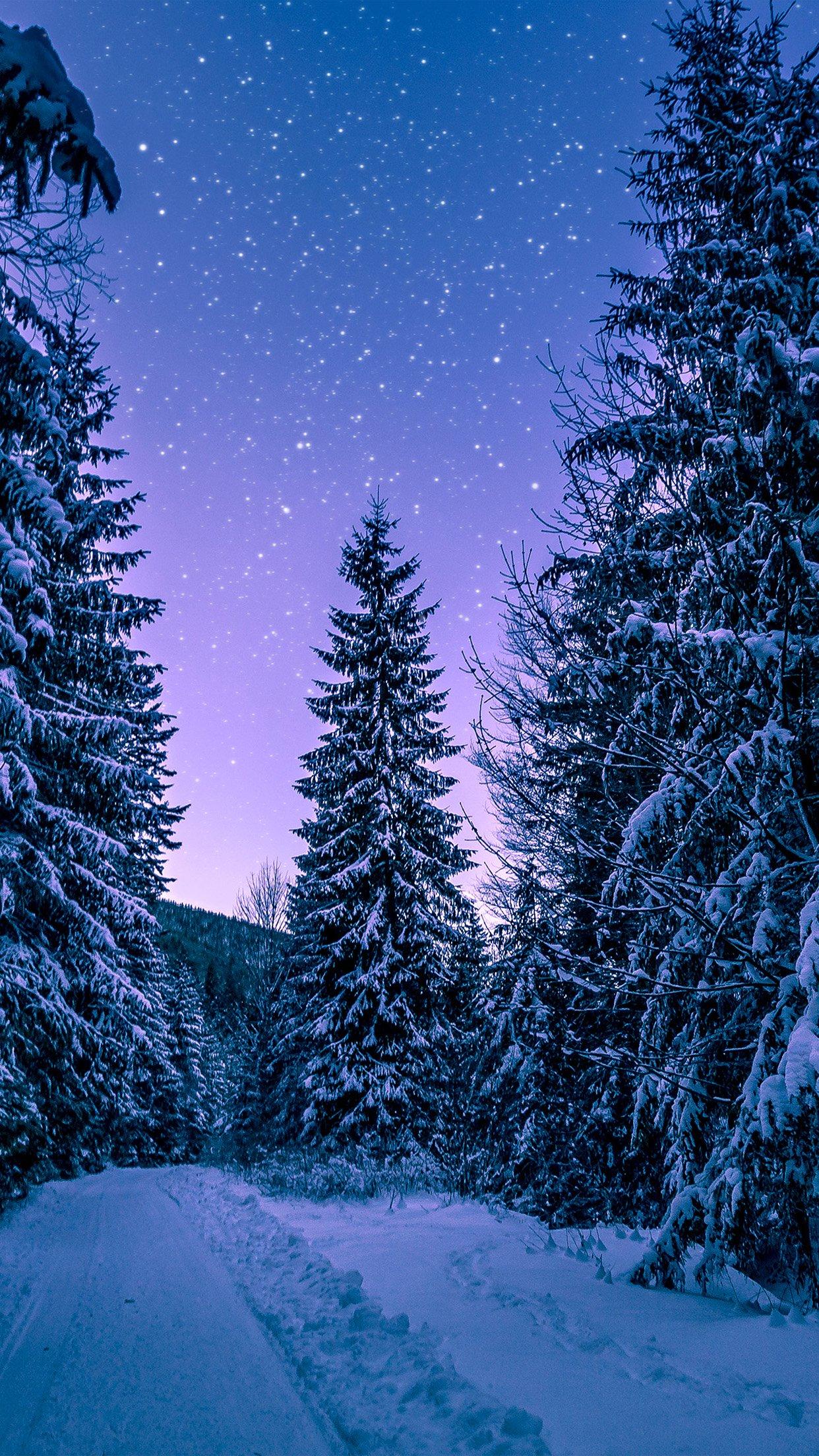 iPhone X wallpaper. snow winter wood tree road night nature