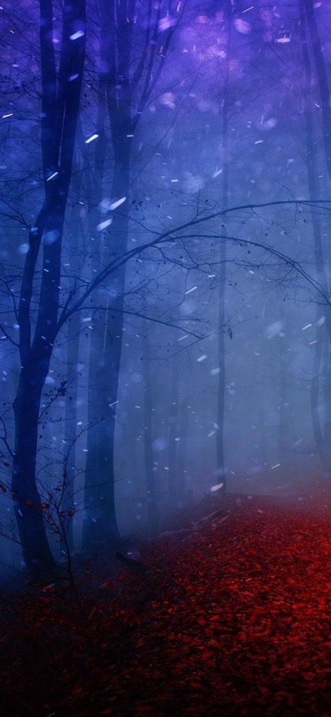 iOS iPhone X, snow, night, red, trees, woods, nature