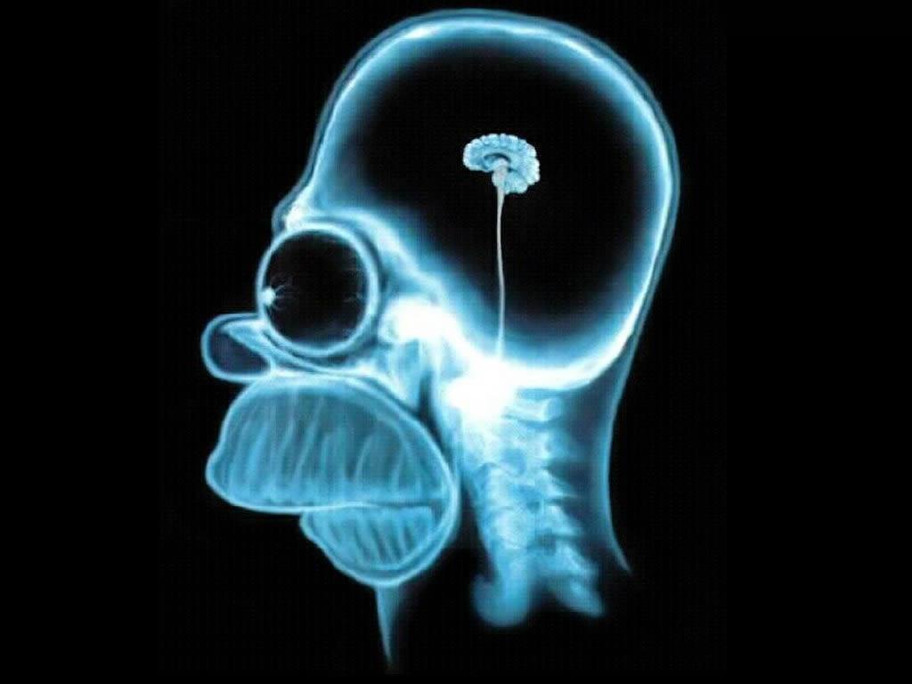 Brain Homer Simpson Background For PowerPoint