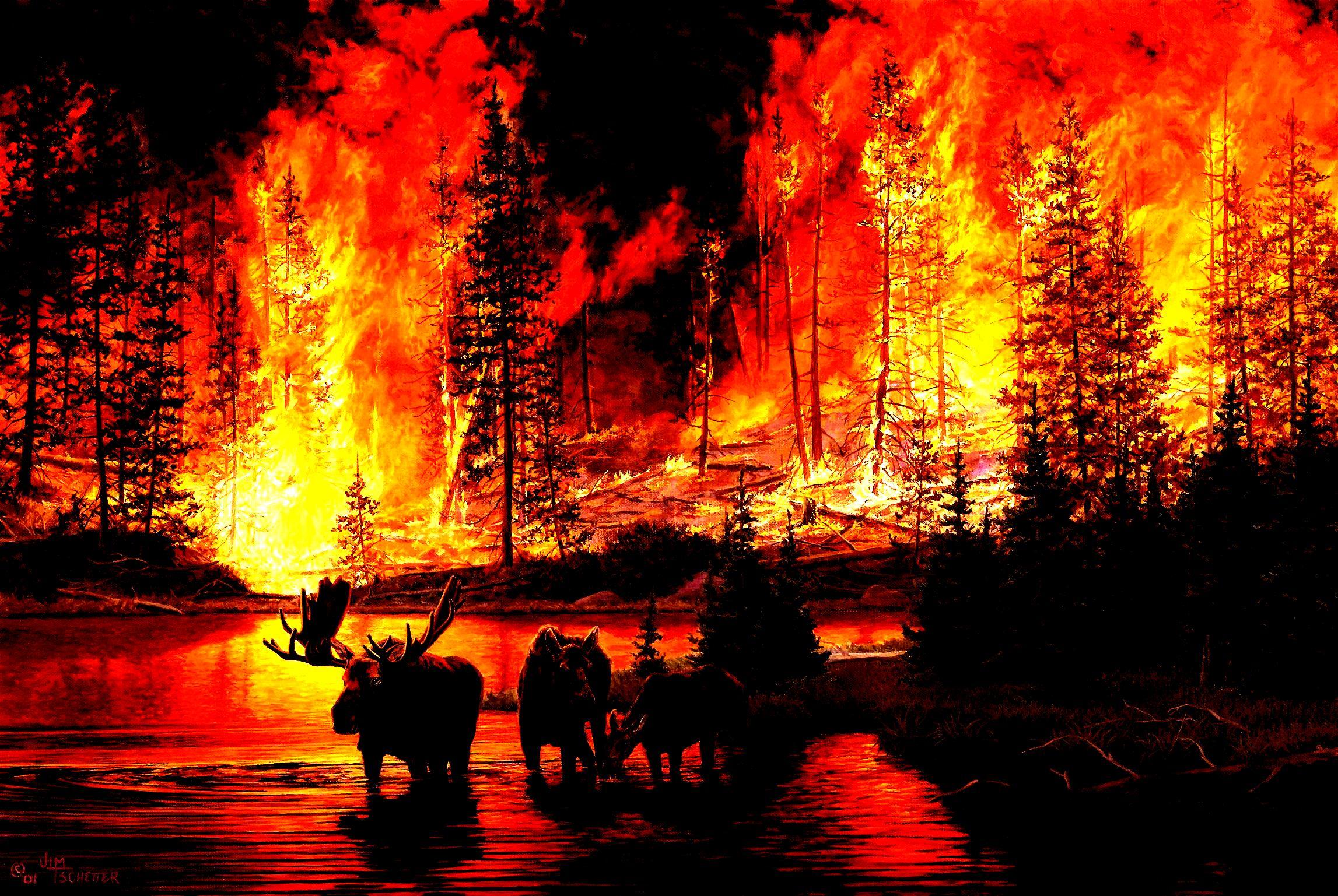 Лесной пожар картина