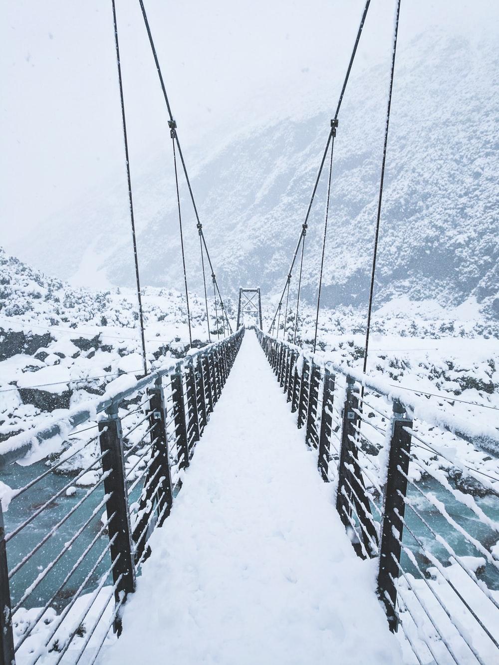 photo of bridge covered