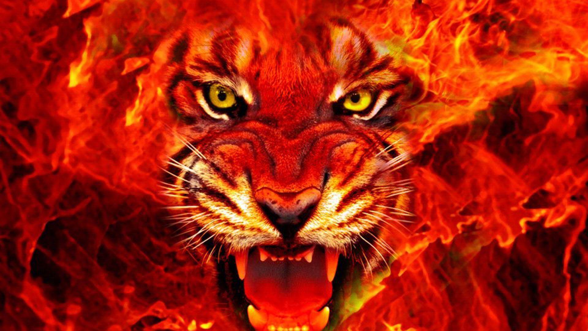 Wallpaper HD fire king image picture. Tiger