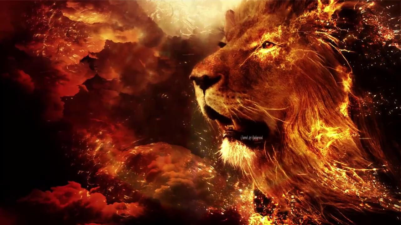 Fire Lion  Lion  Fire Theme Wallpaper Download  MobCup