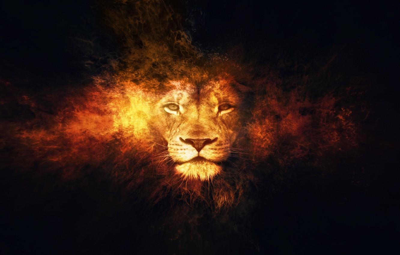 Wallpaper fantasy, lion, animal, artistic, fire.flames image for desktop, section фантастика