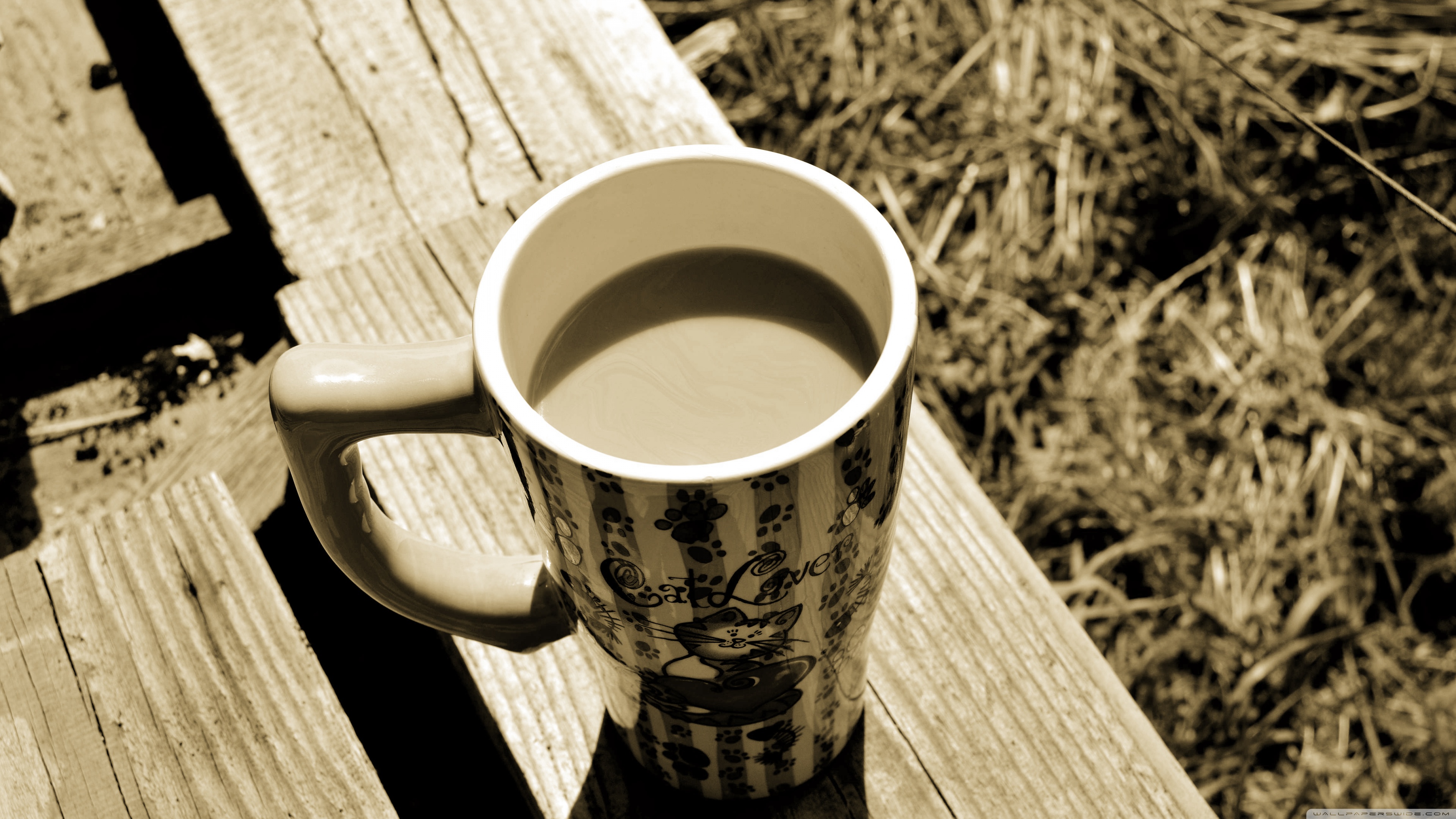 A Catlovers Coffee Time Ultra HD Desktop Background