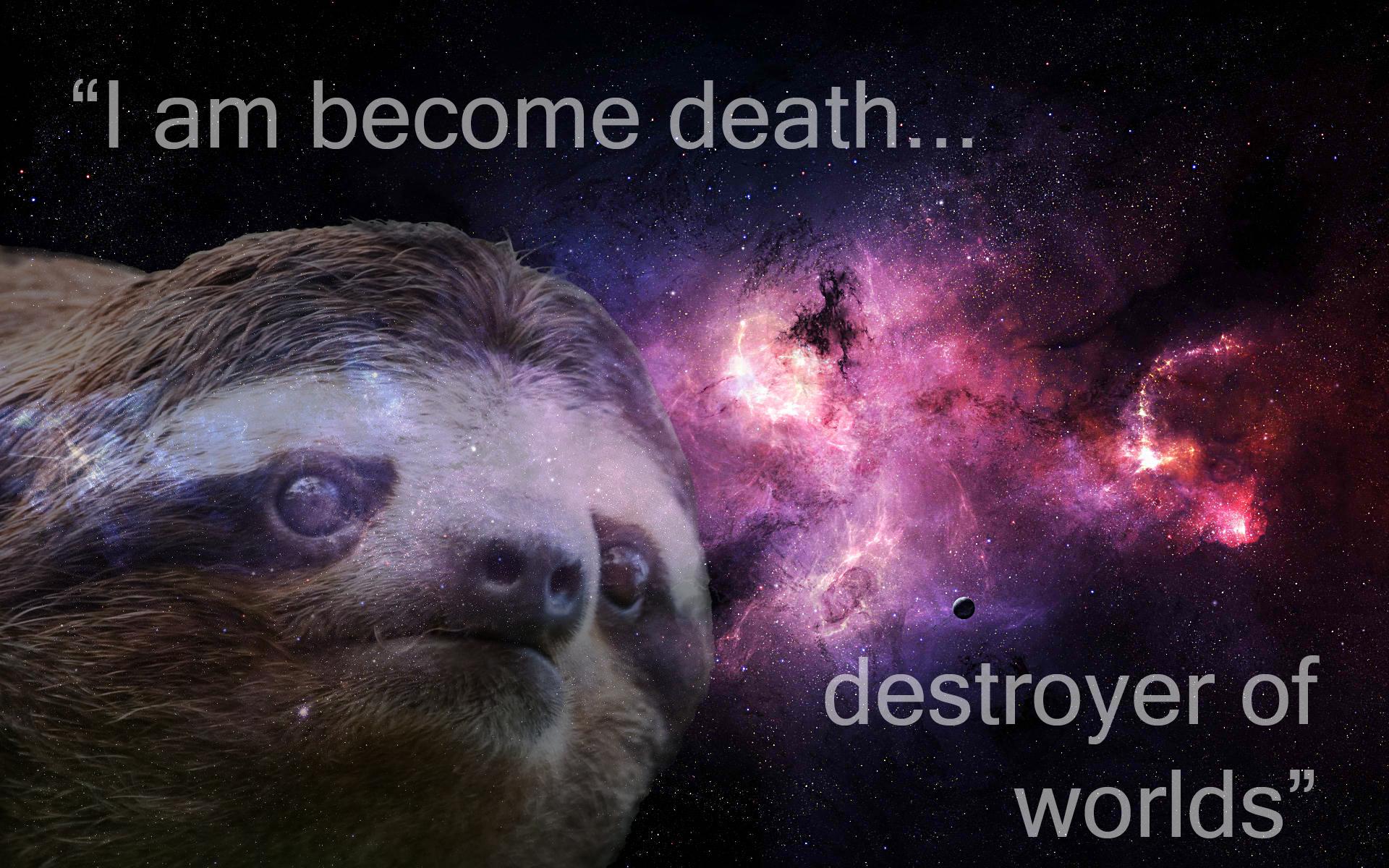 Sloth Desktop Wallpaper