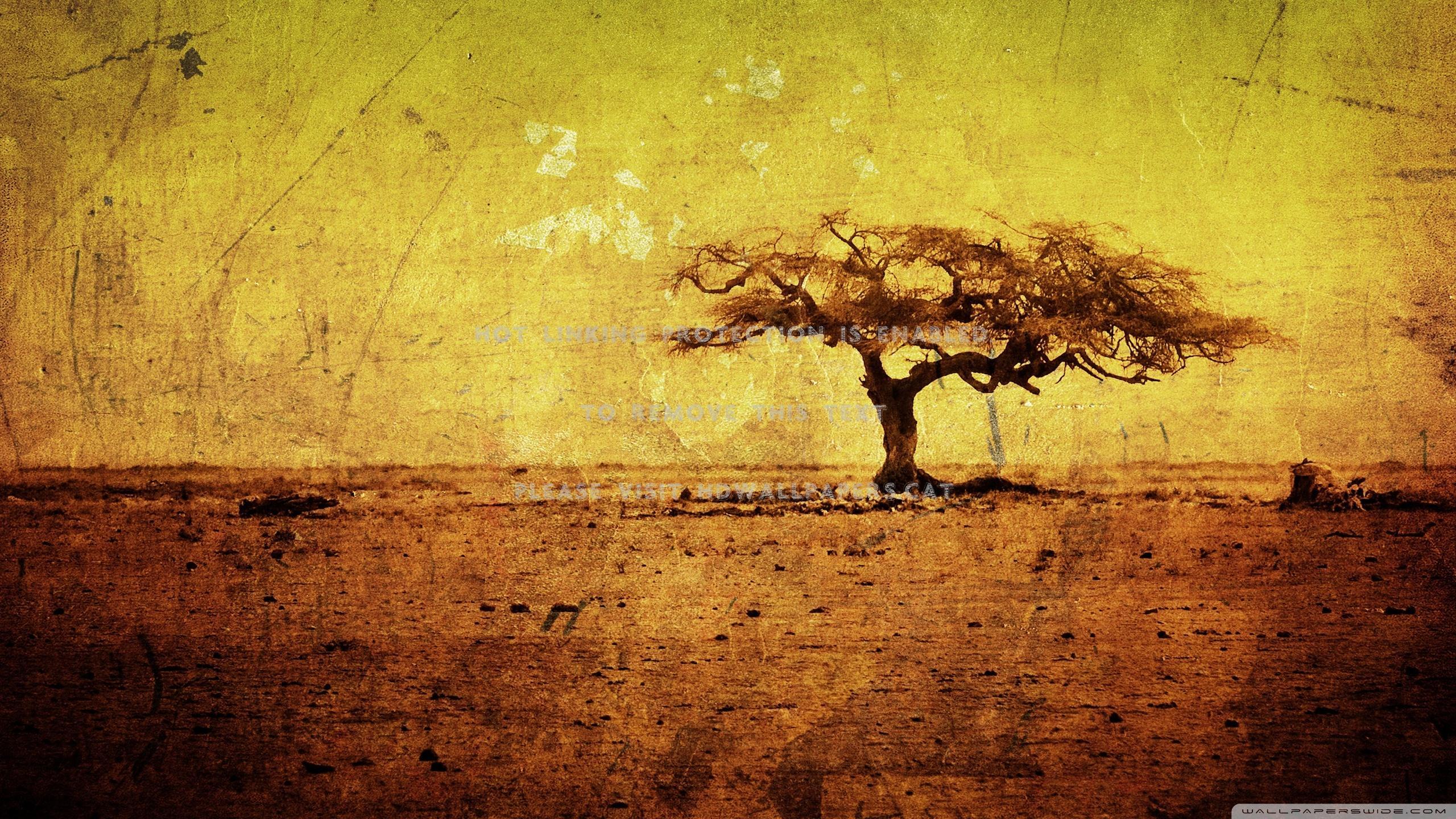 lonely tree land barren desert abstract