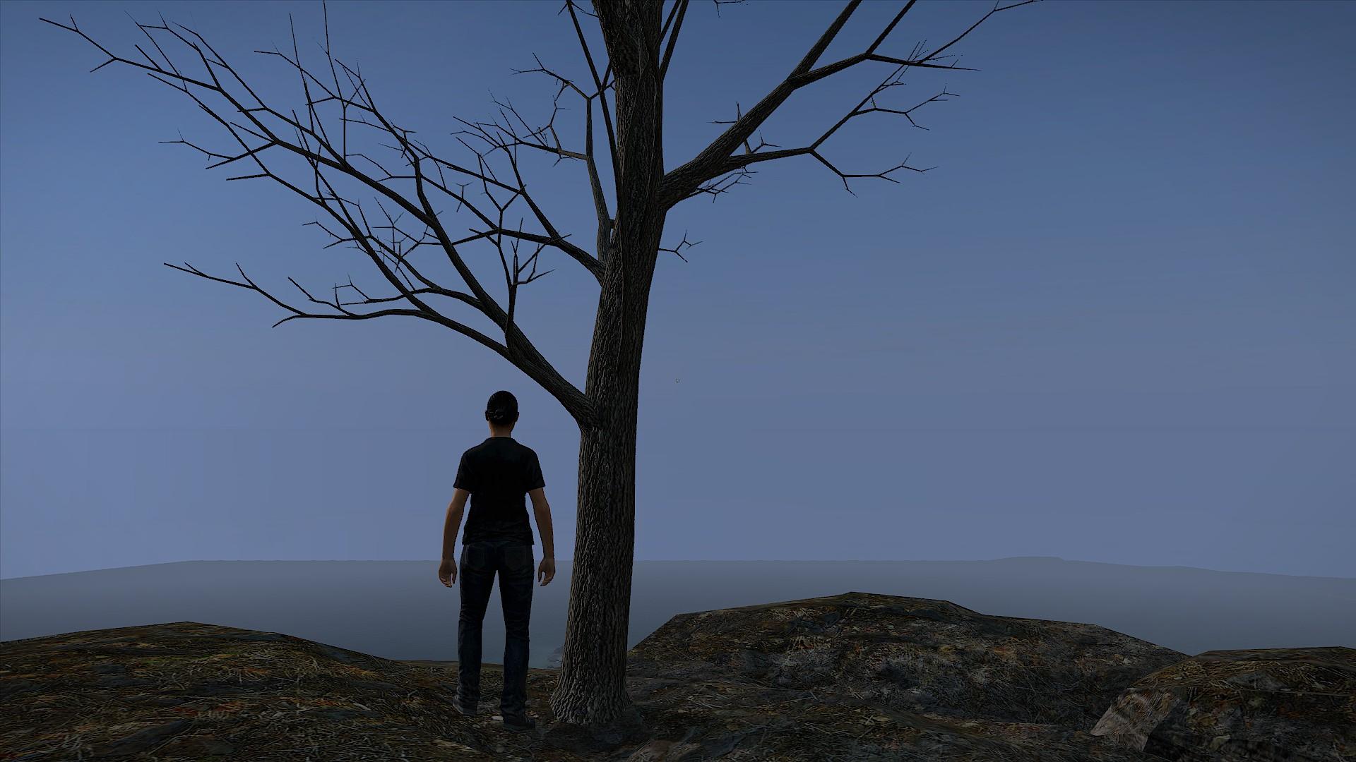 The Lonely Tree