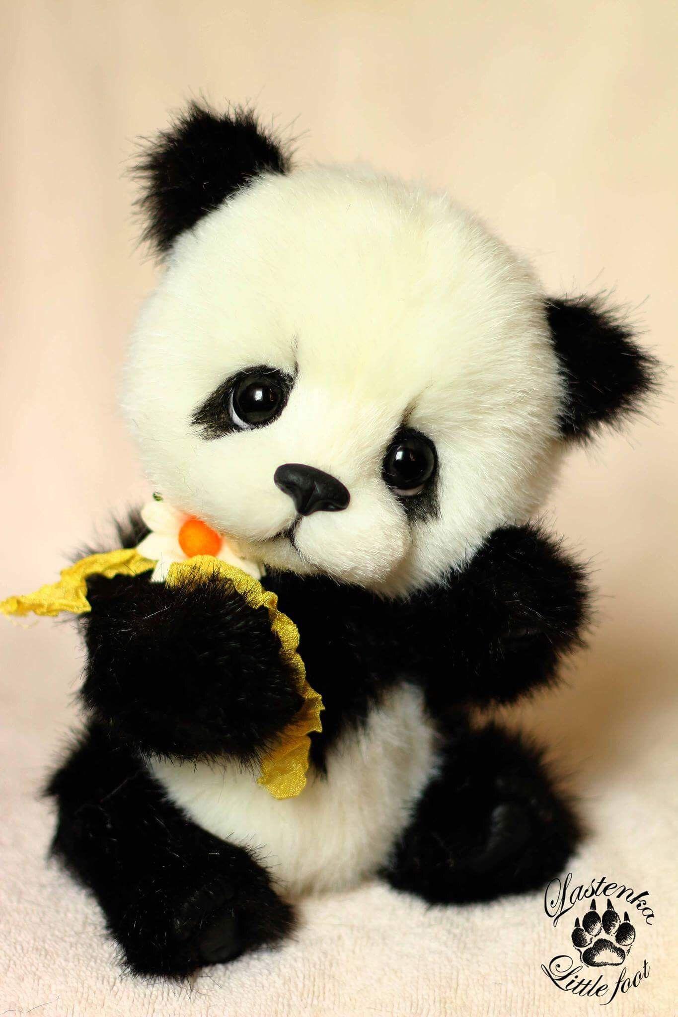This Panda is so cute you can't stop starring at it's eyes