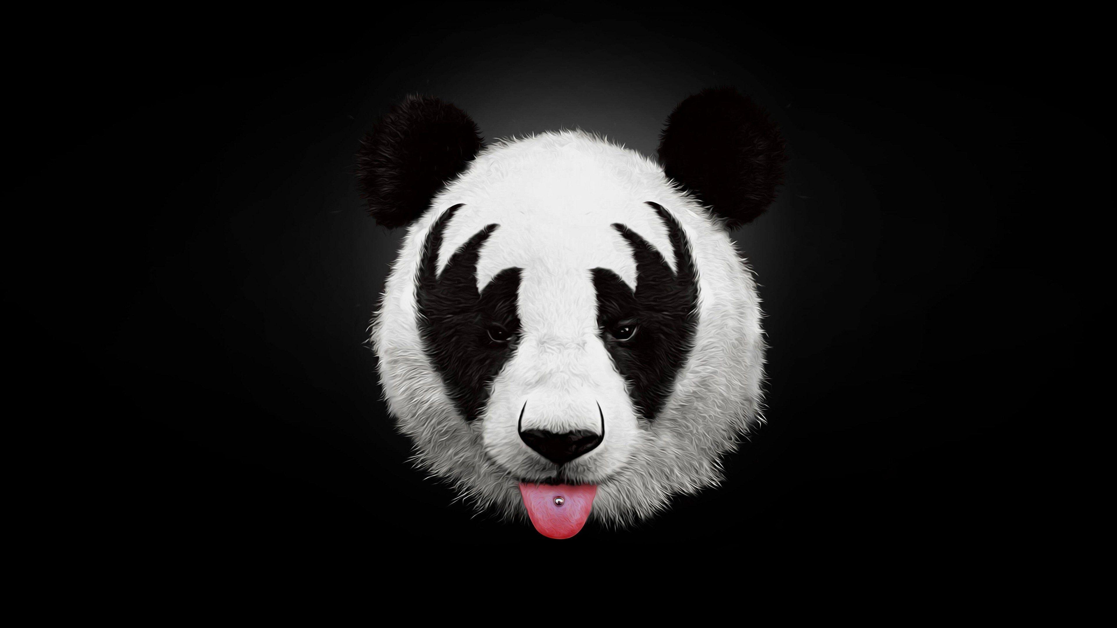 panda 4k desktop background wallpaper HD. Panda