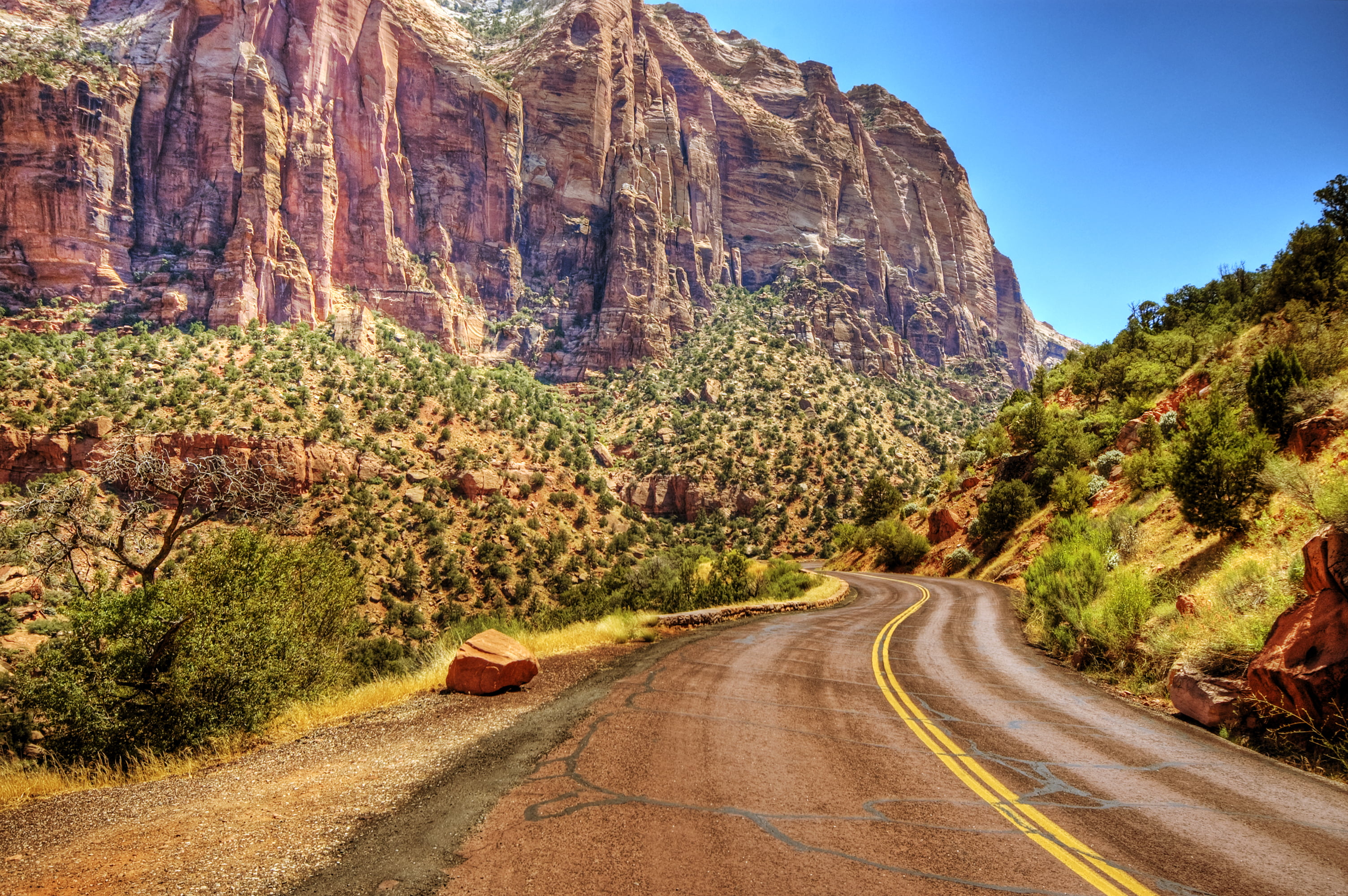 Curving road between plants and canyon, zion national park HD