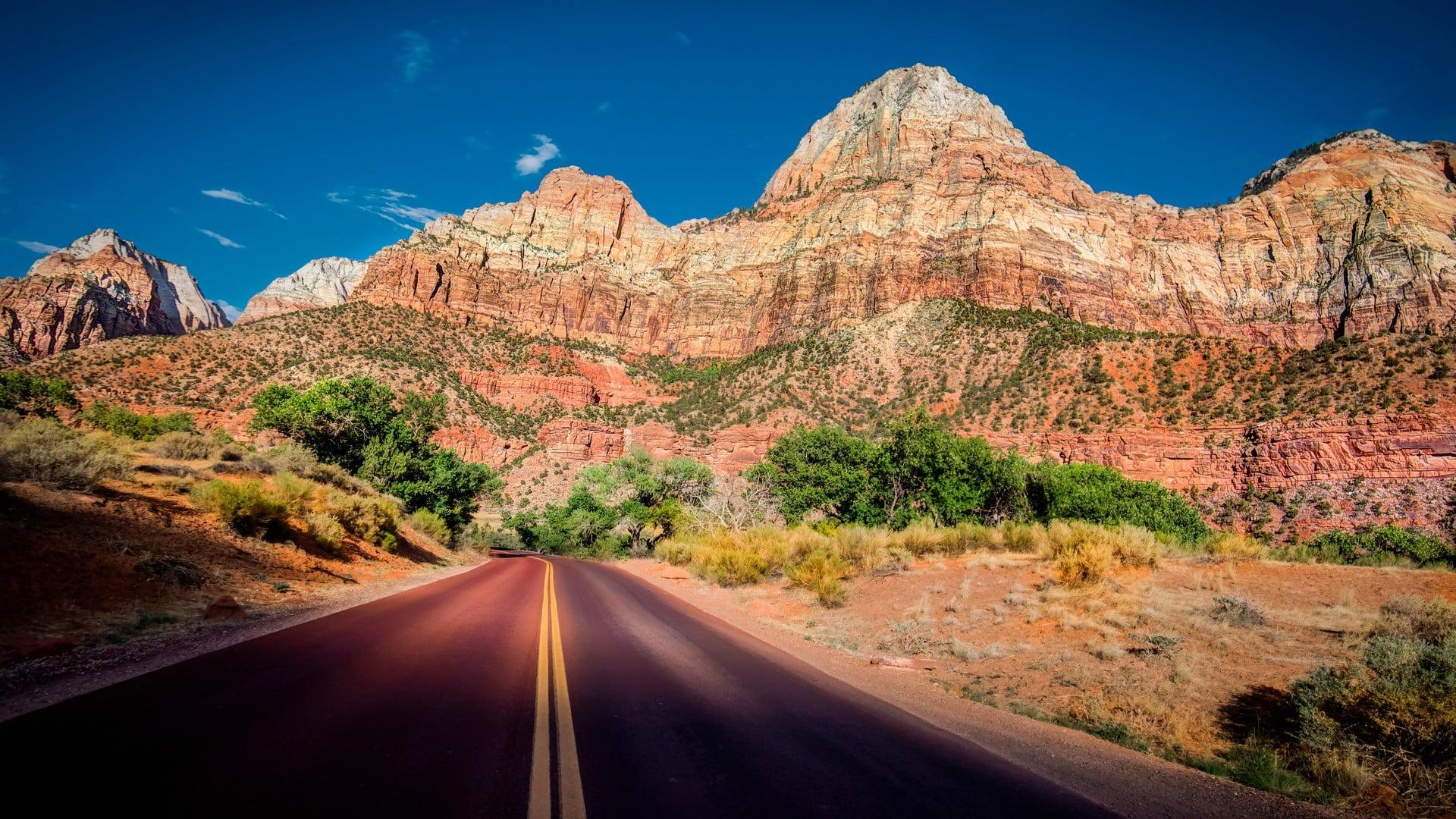 Asphalt road, road, Zion National Park, nature, rock HD