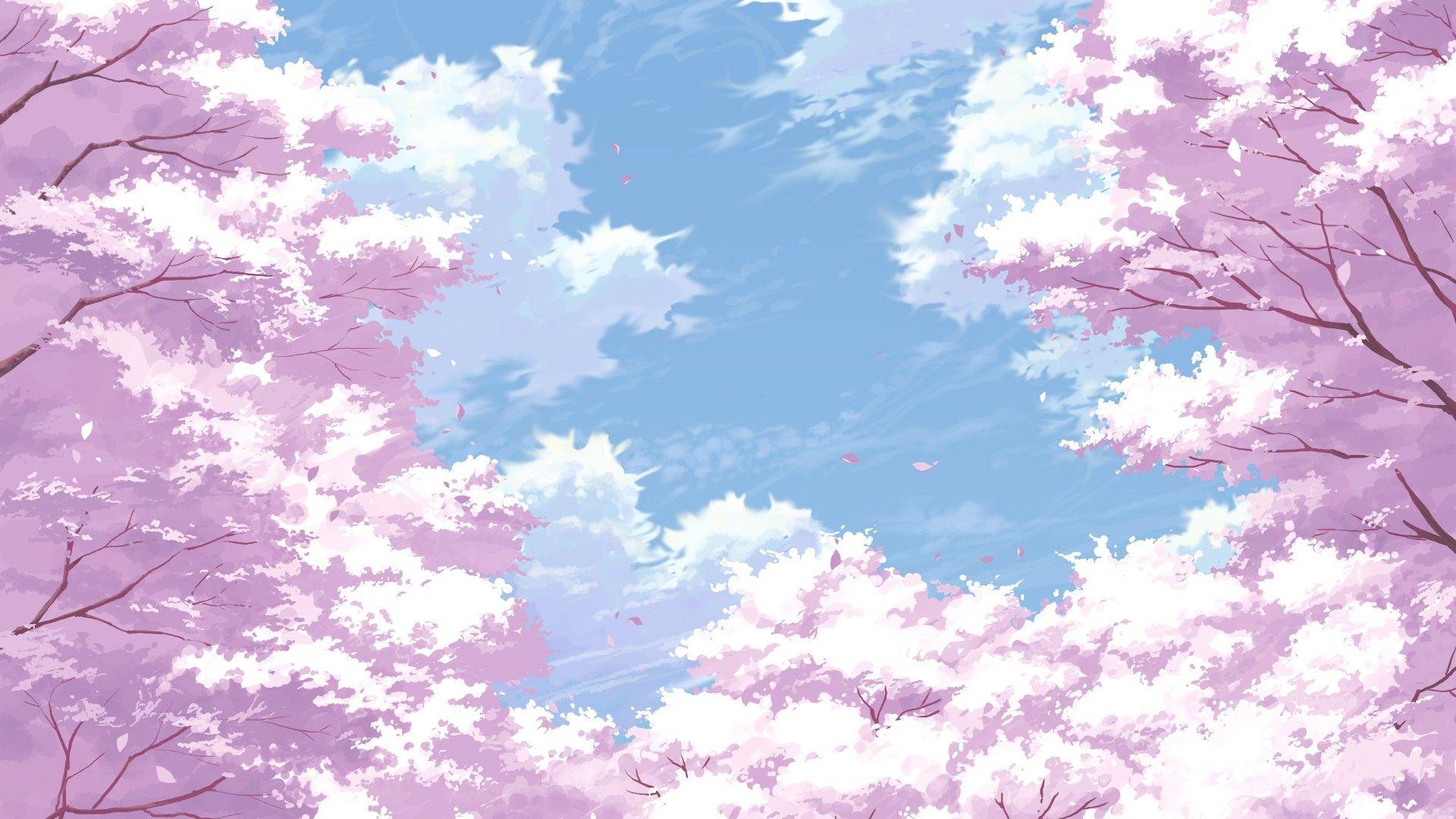 anime cherry blossom blossom wallpaper, Anime cherry blossom, Anime scenery